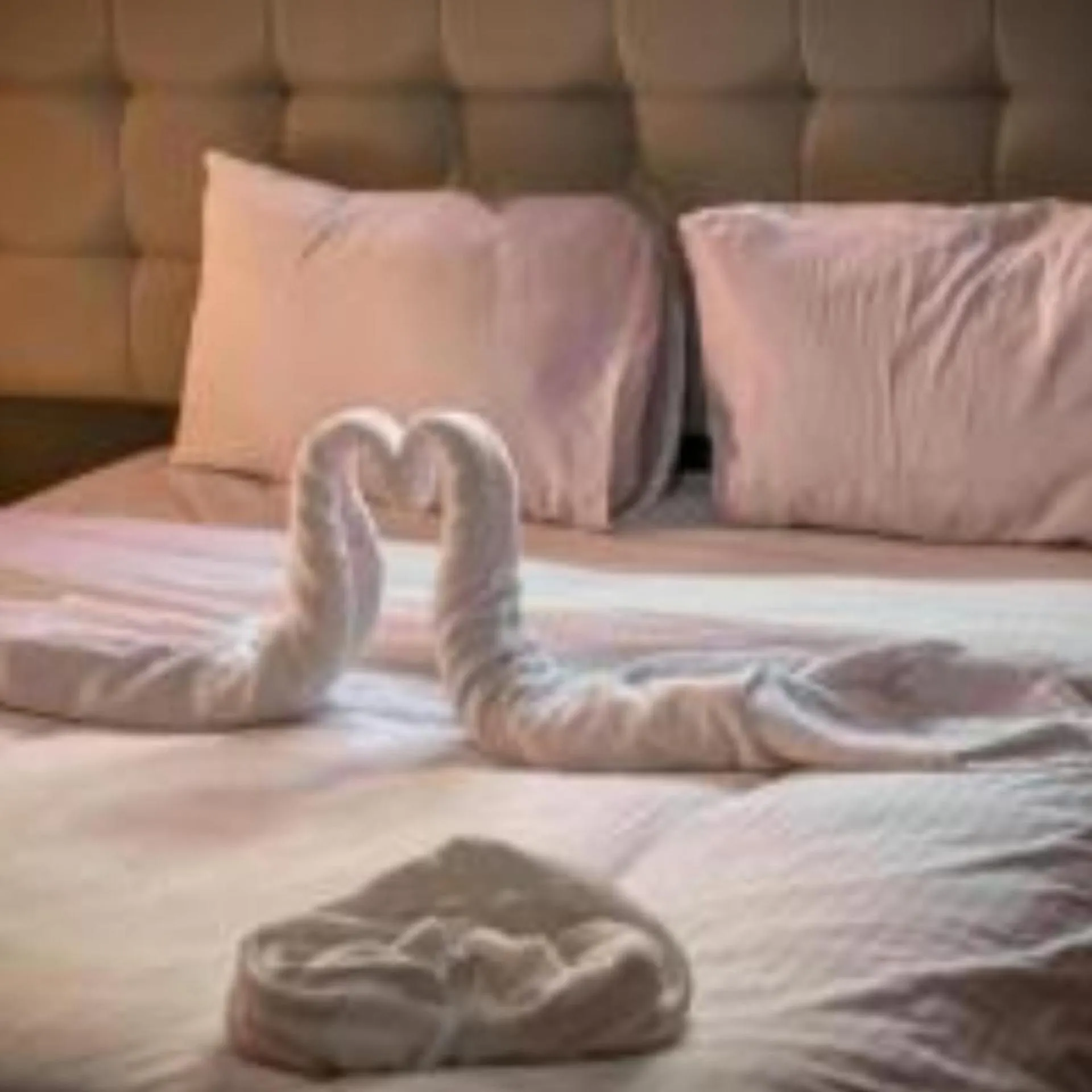 Traditions of Wadi Rum camp & jeep tour