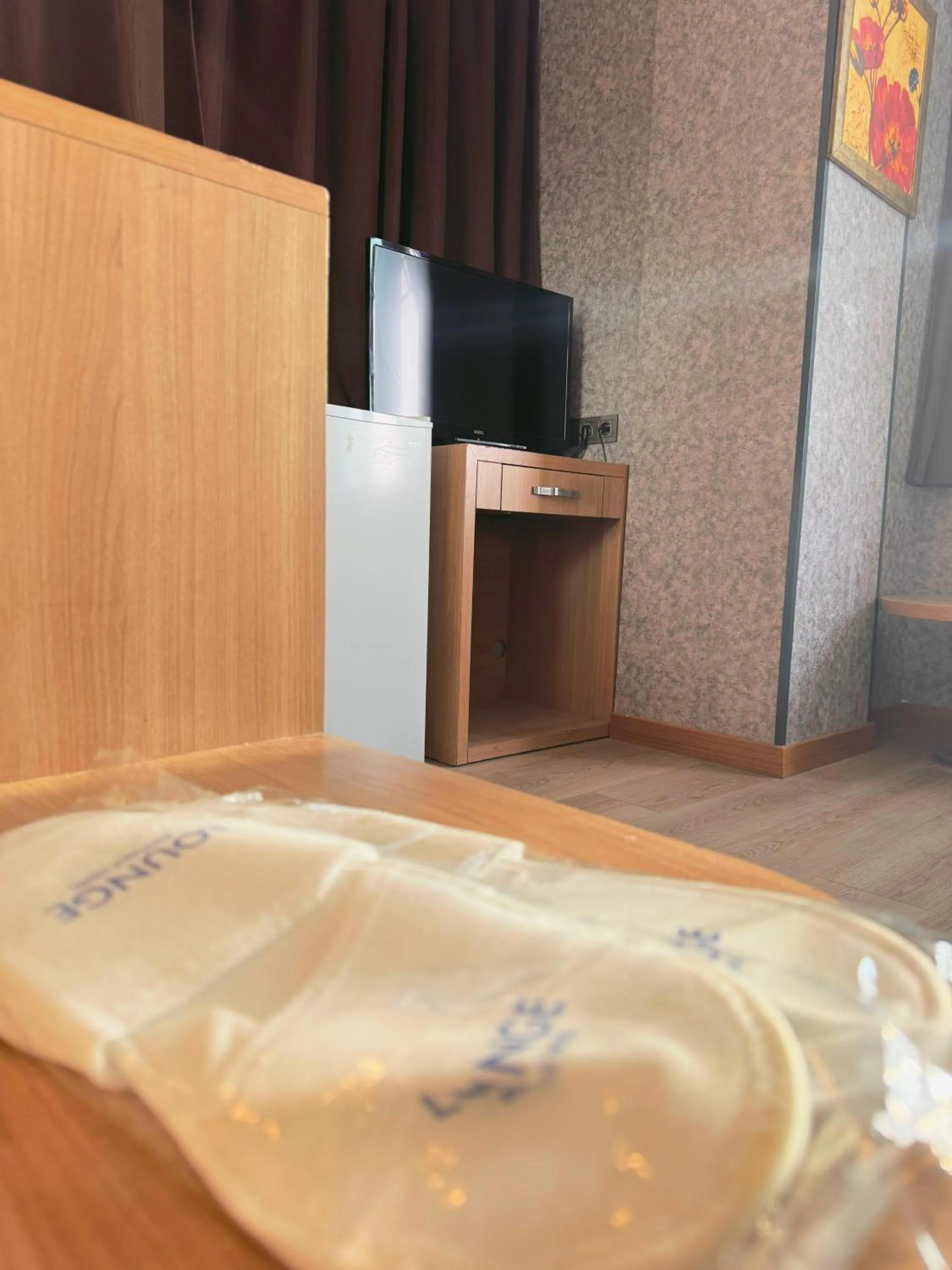 TV and multimedia in Lounge Hotel