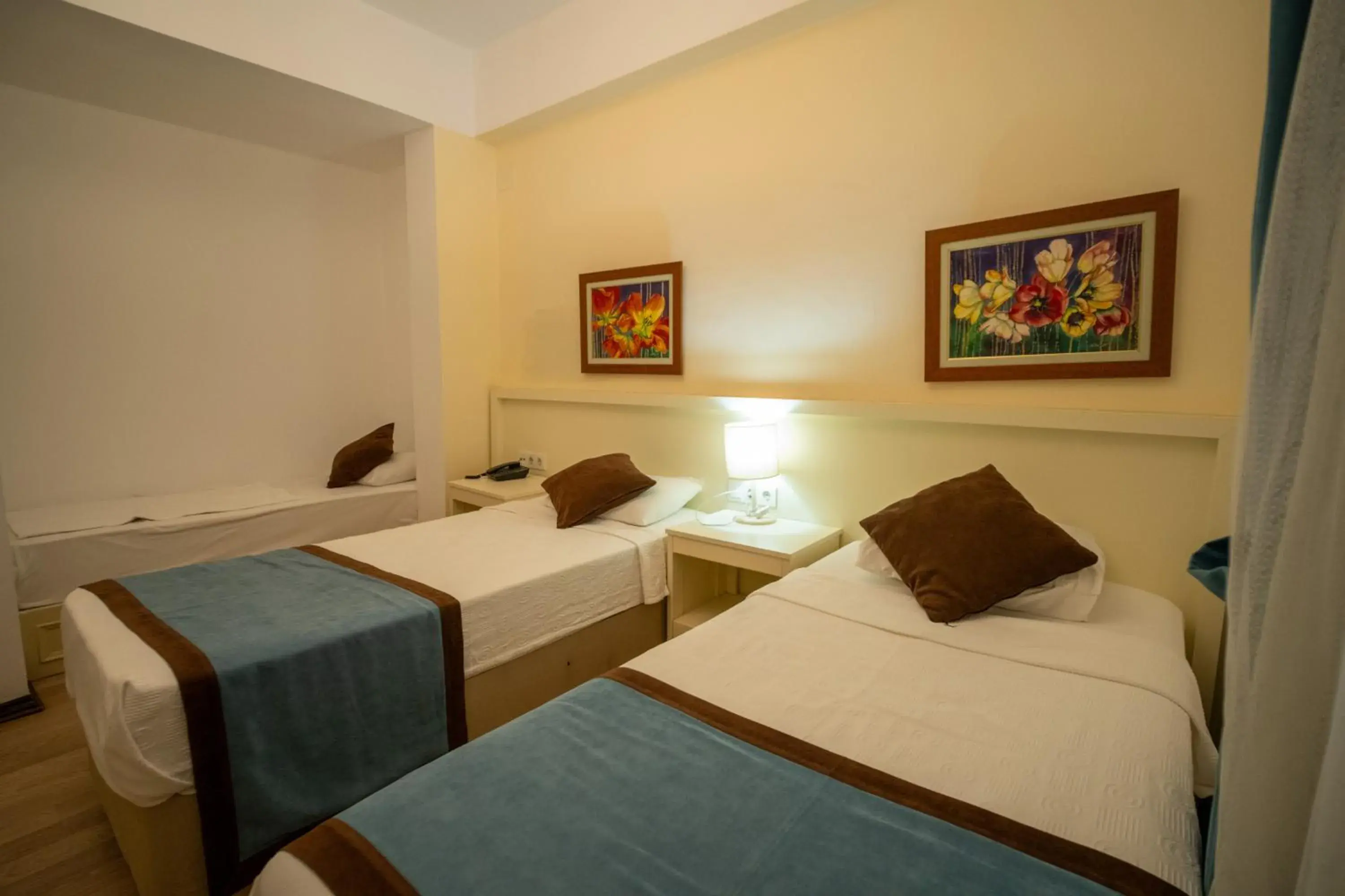 Bed in Dinc Pension Bed in Dinc Pension