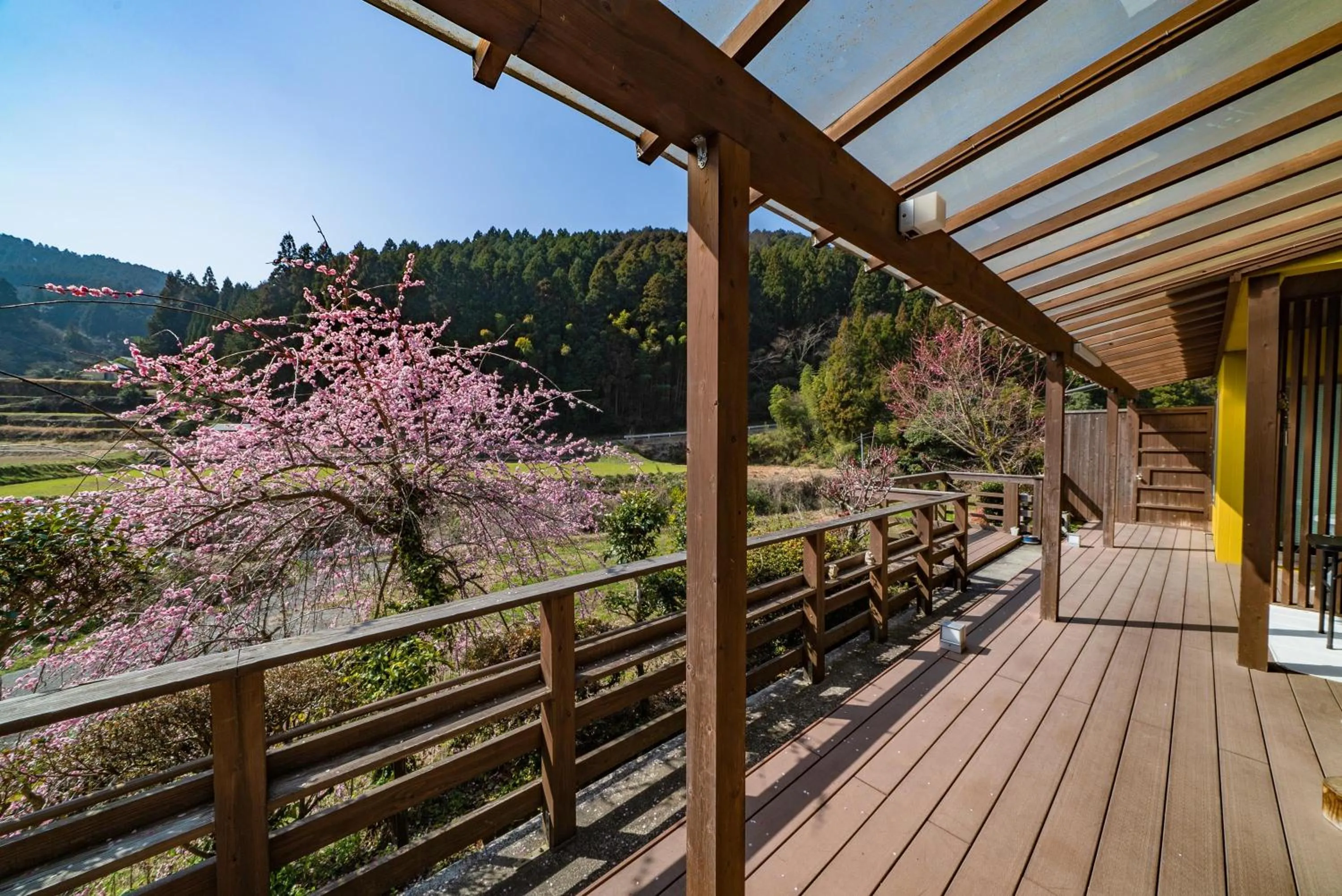 Ukiha Kojio no Akari