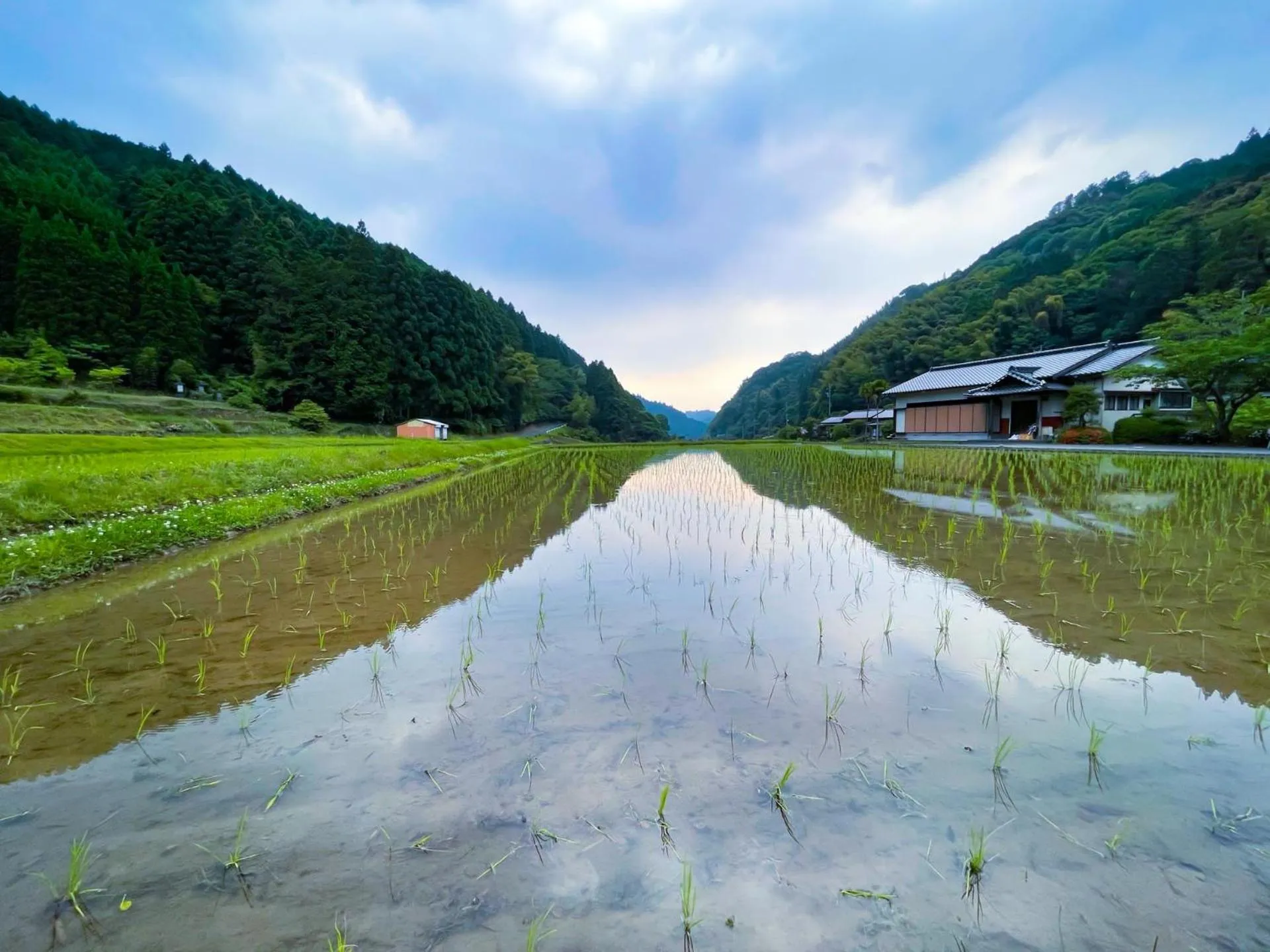 Ukiha Kojio no Akari