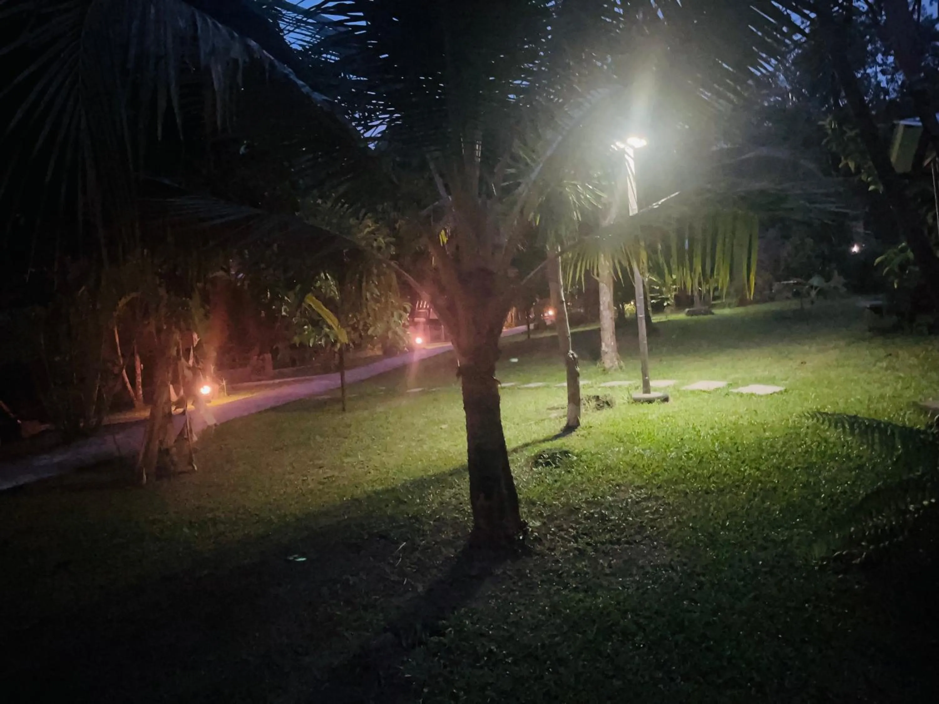 Garden view in Najjamee Bungalows