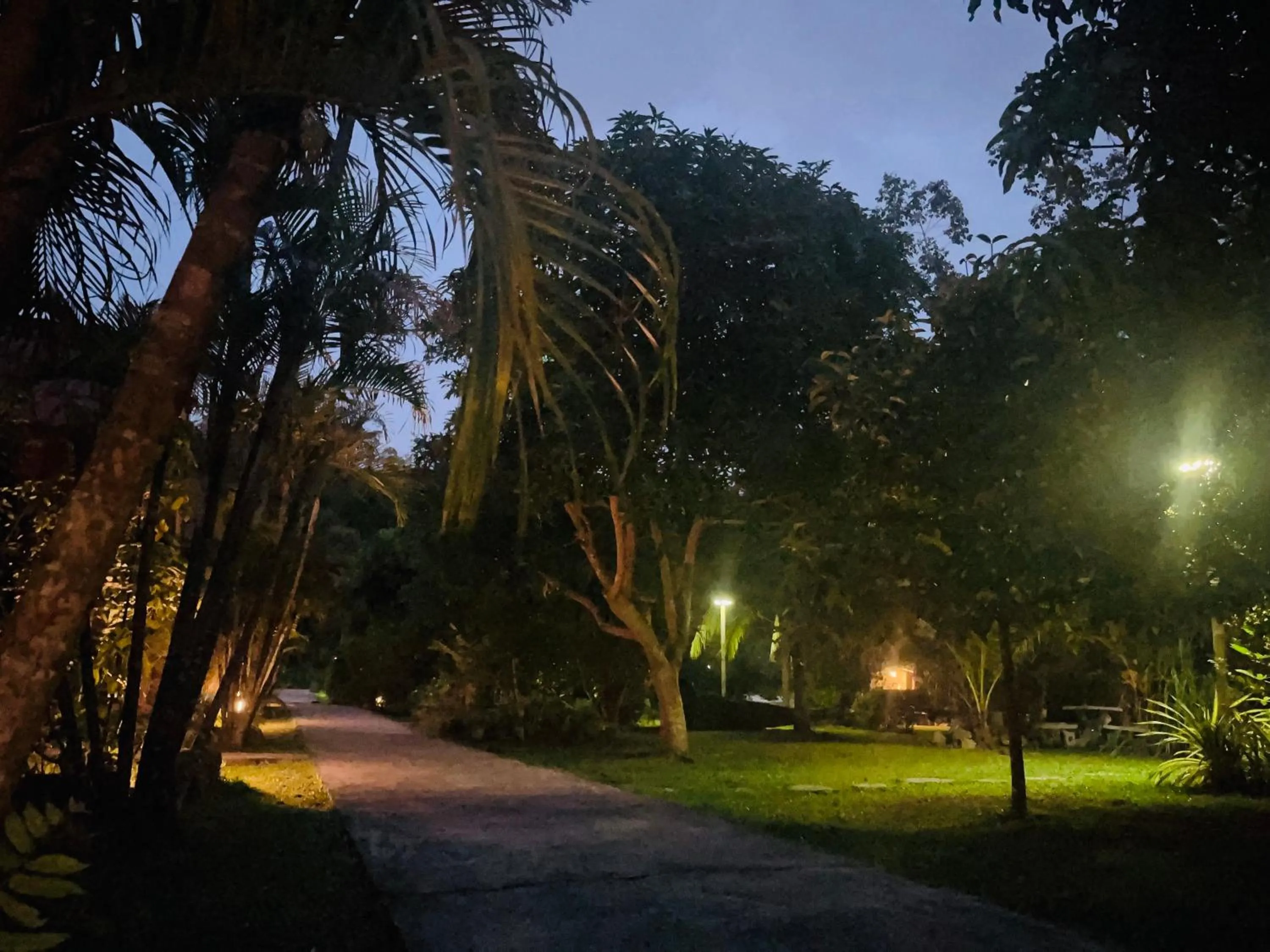 Garden in Najjamee Bungalows