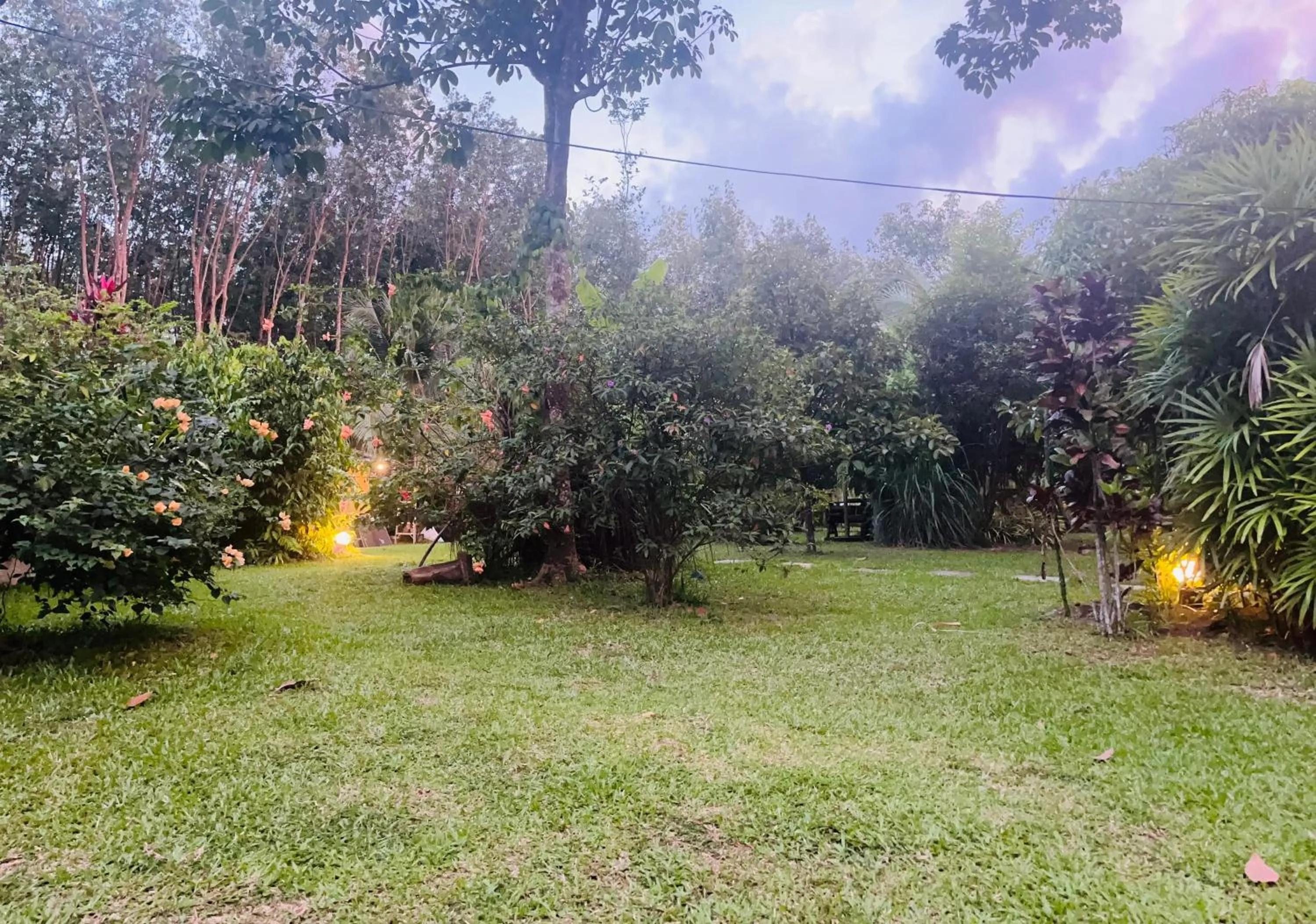 Garden in Najjamee Bungalows