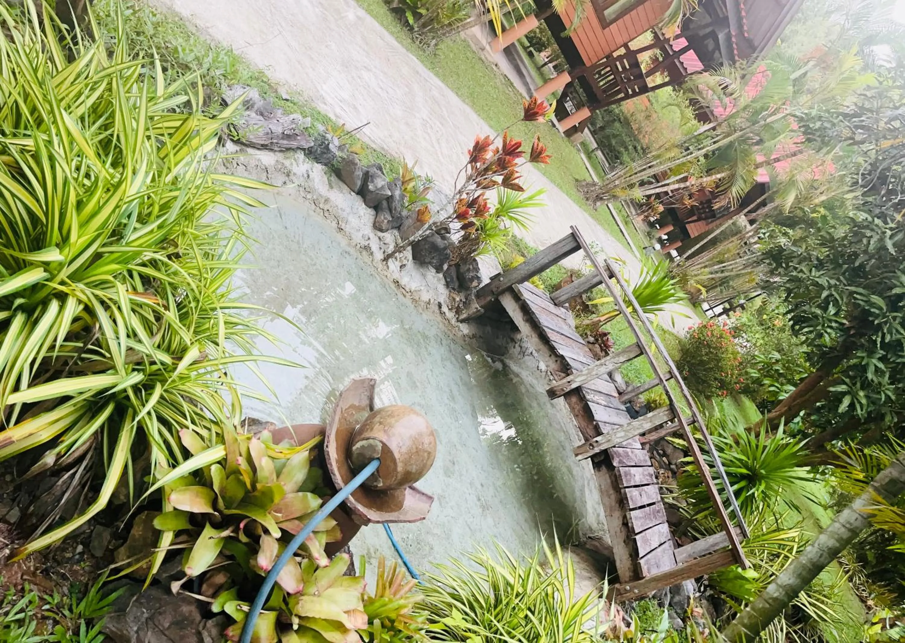 Garden in Najjamee Bungalows