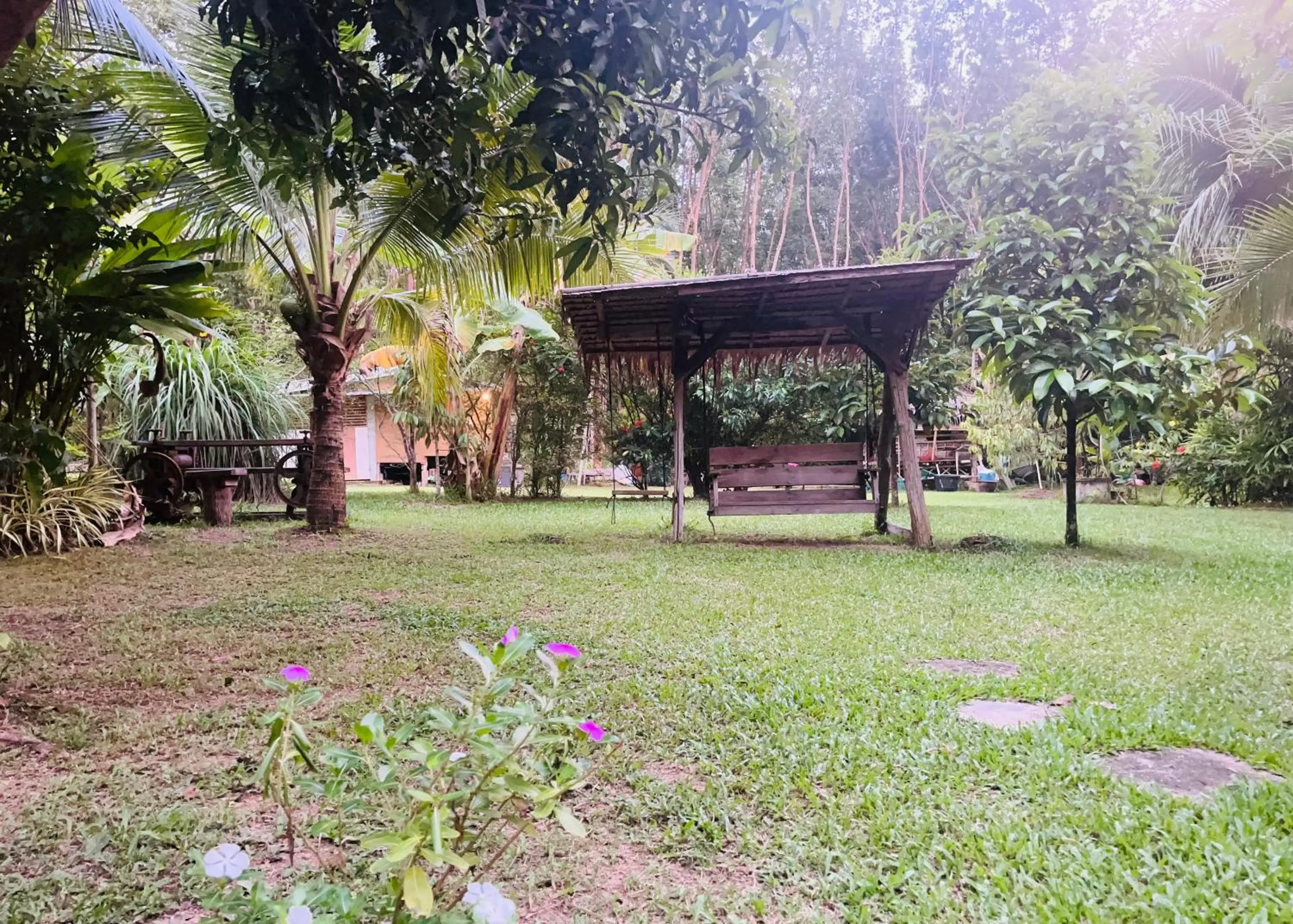 Garden in Najjamee Bungalows