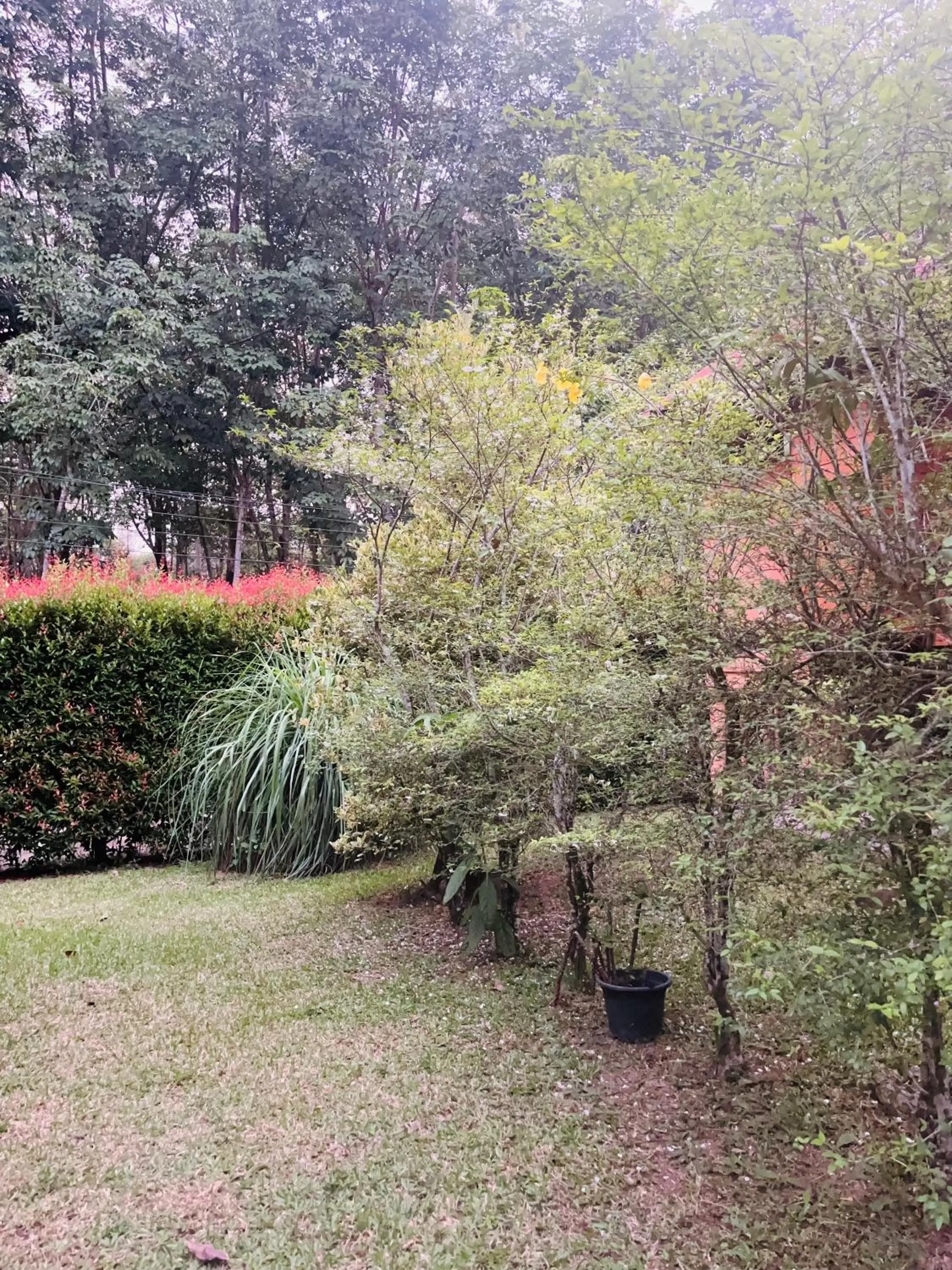 Garden in Najjamee Bungalows