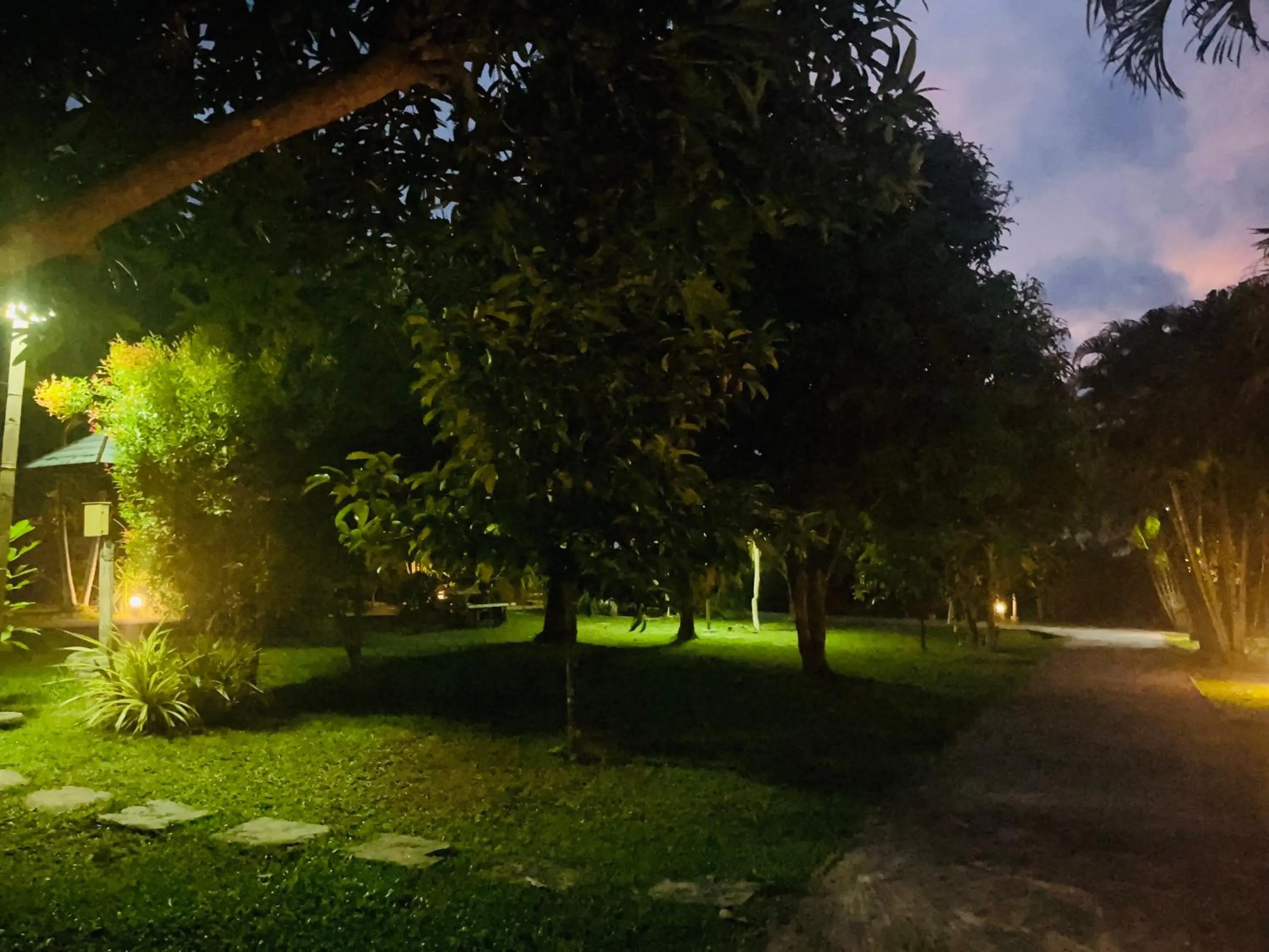 Garden in Najjamee Bungalows