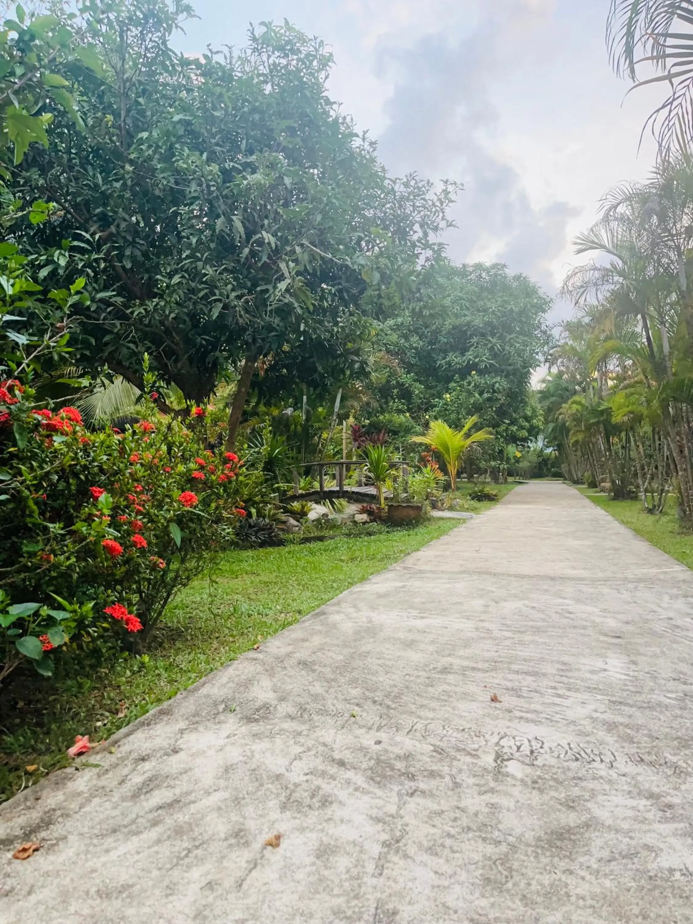 Street view in Najjamee Bungalows