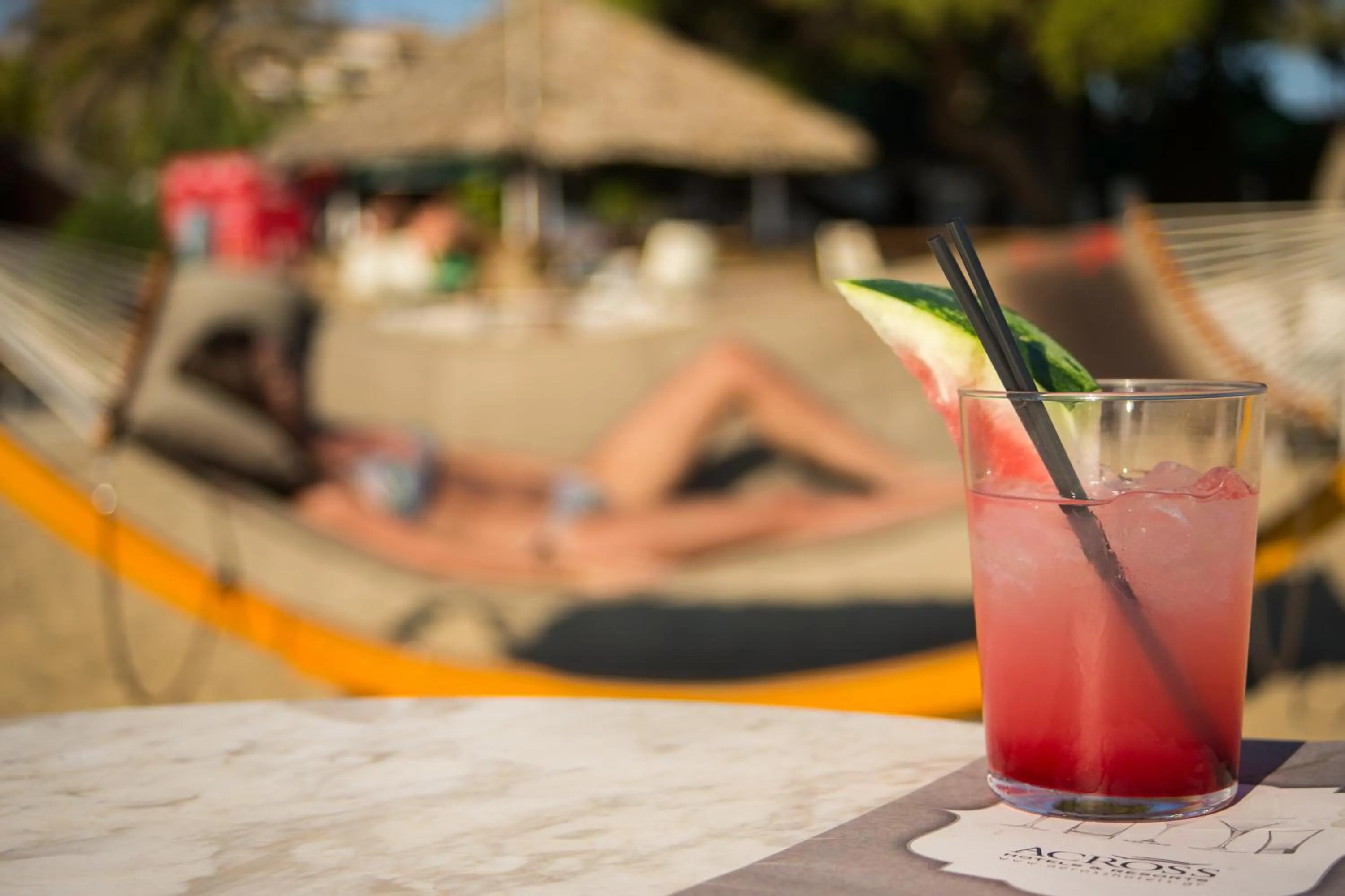 Activities in Coral Blue Beach Hotel Gerakini