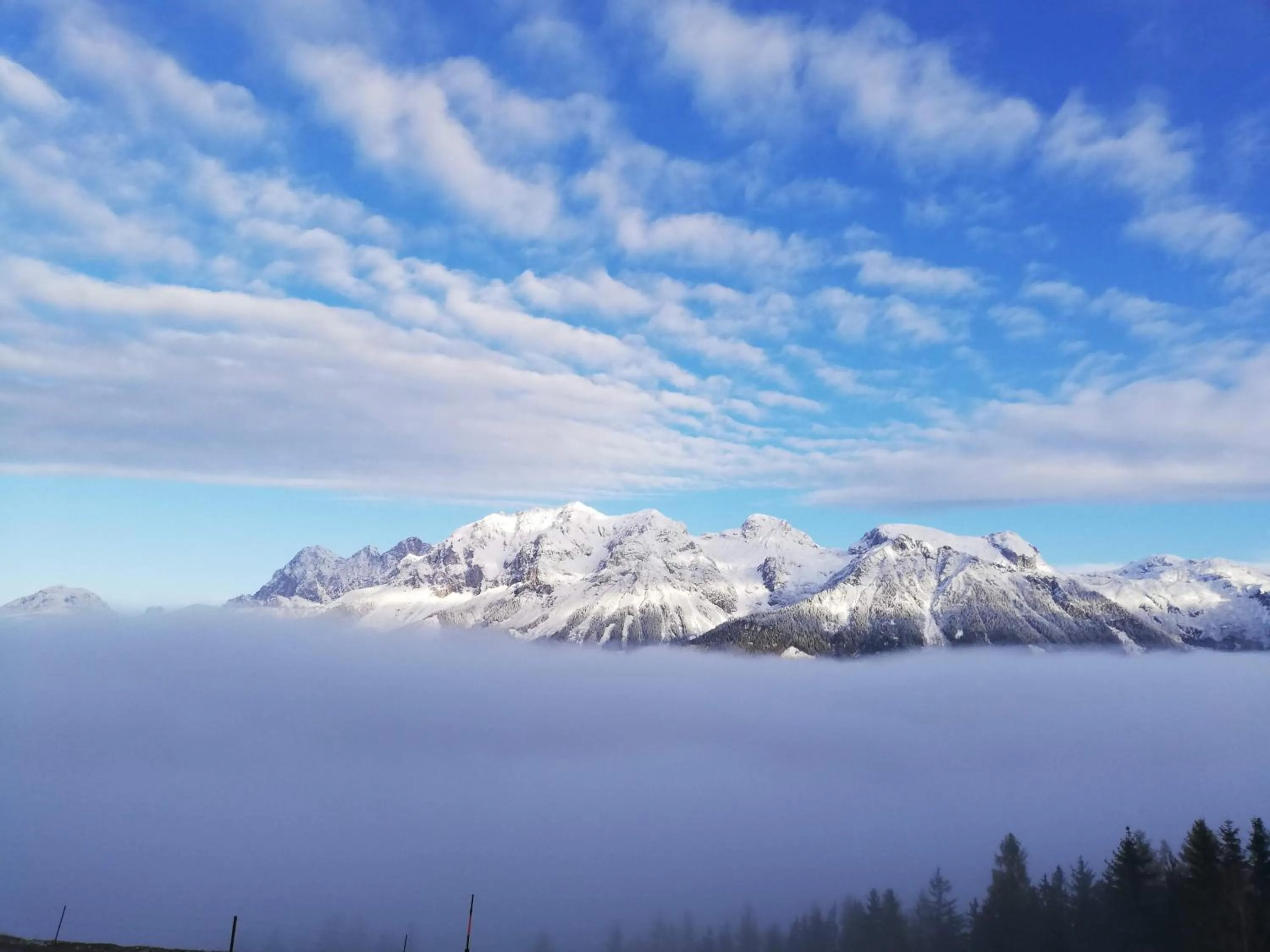 View (from property/room) in Posers Bergwelt B&B