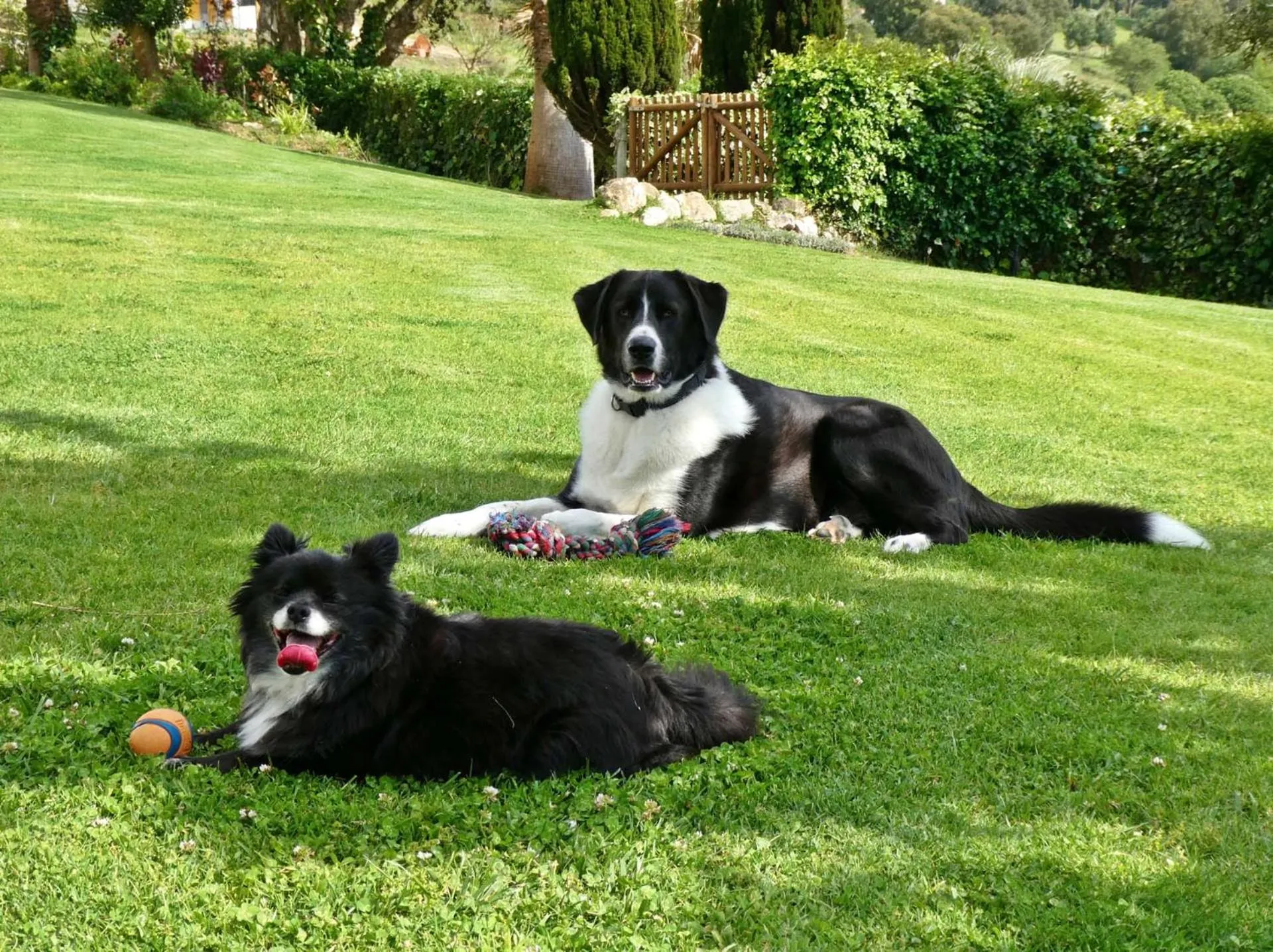 Garden in Vida-Vi, Country House and B&B