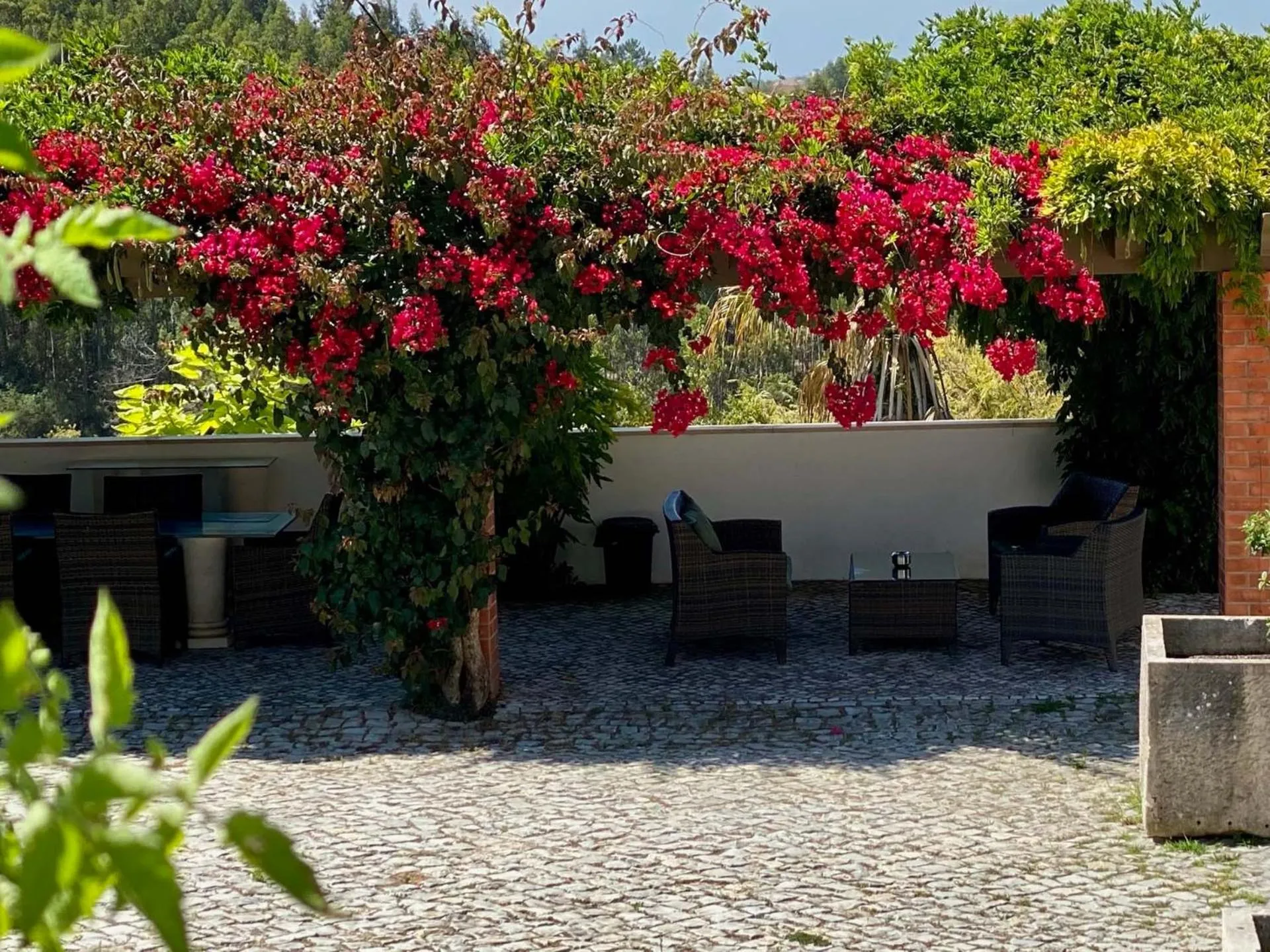 Garden in Vida-Vi, Country House and B&B