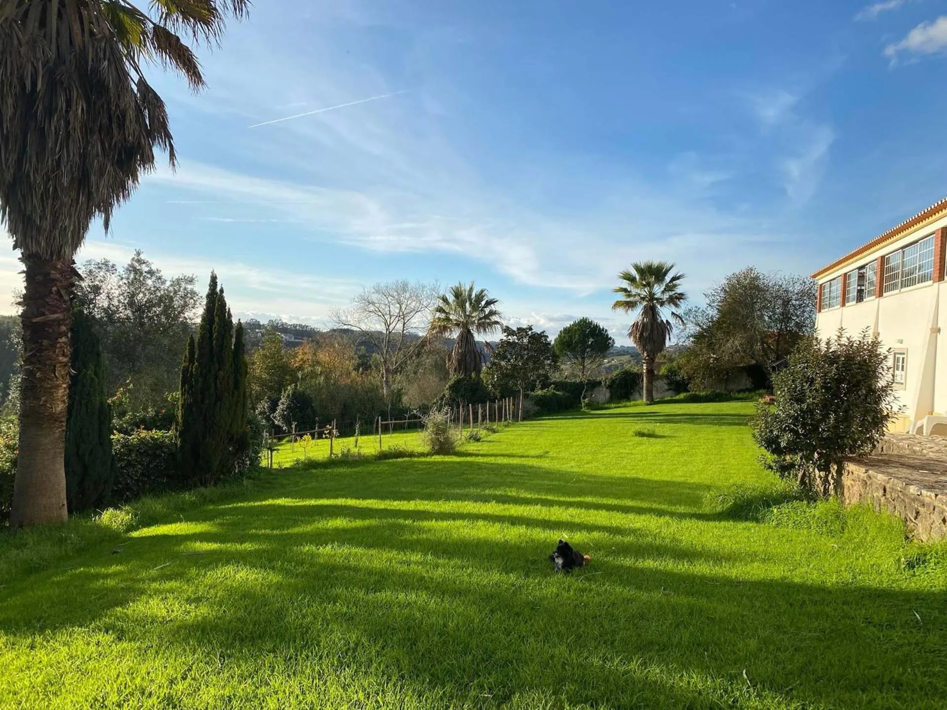 Natural landscape in Vida-Vi, Country House and B&B