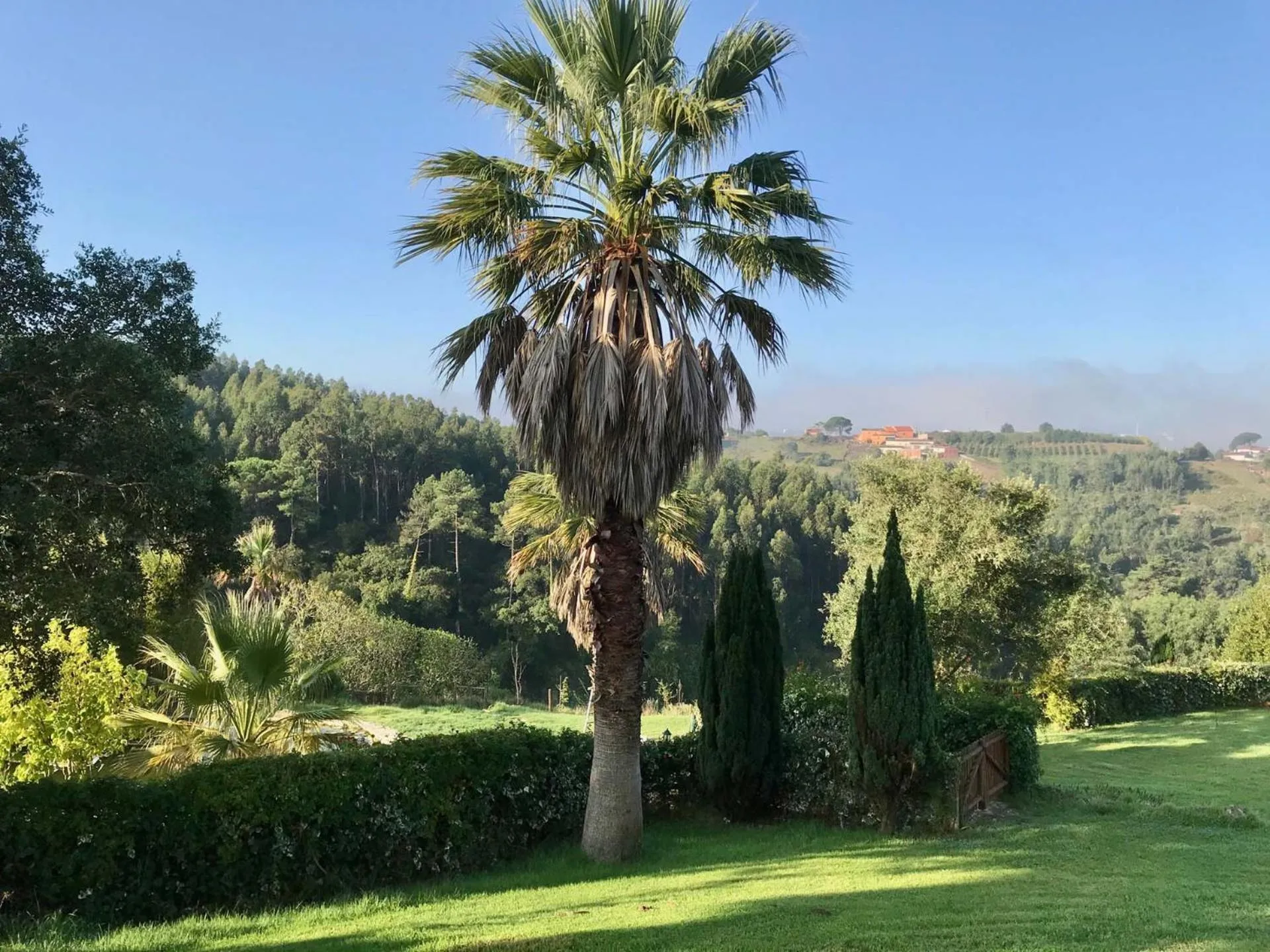 Natural landscape in Vida-Vi, Country House and B&B