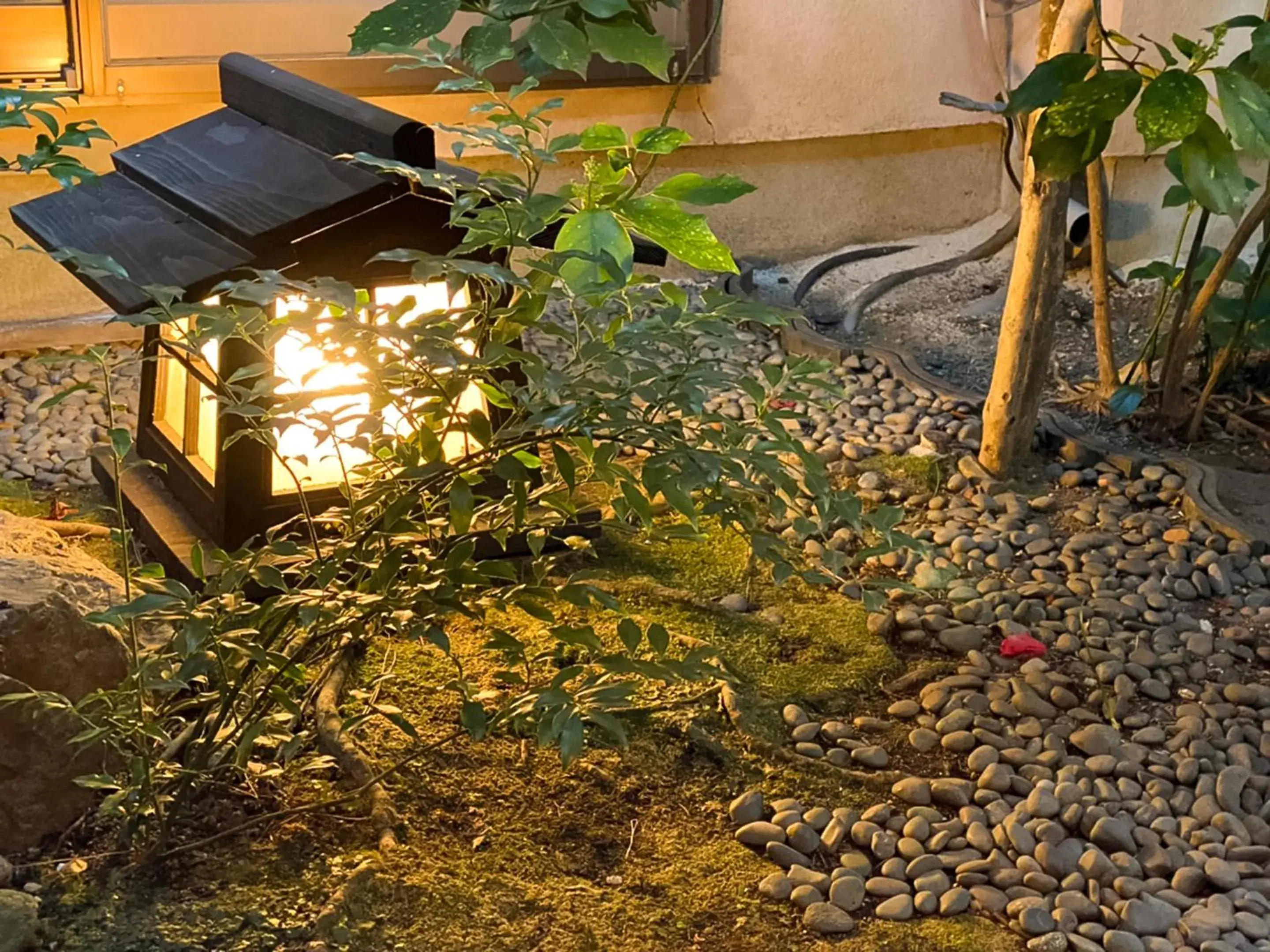 Photo of the whole room in Kappo Ryokan Yumesaki Photo of the whole room in Kappo Ryokan Yumesaki