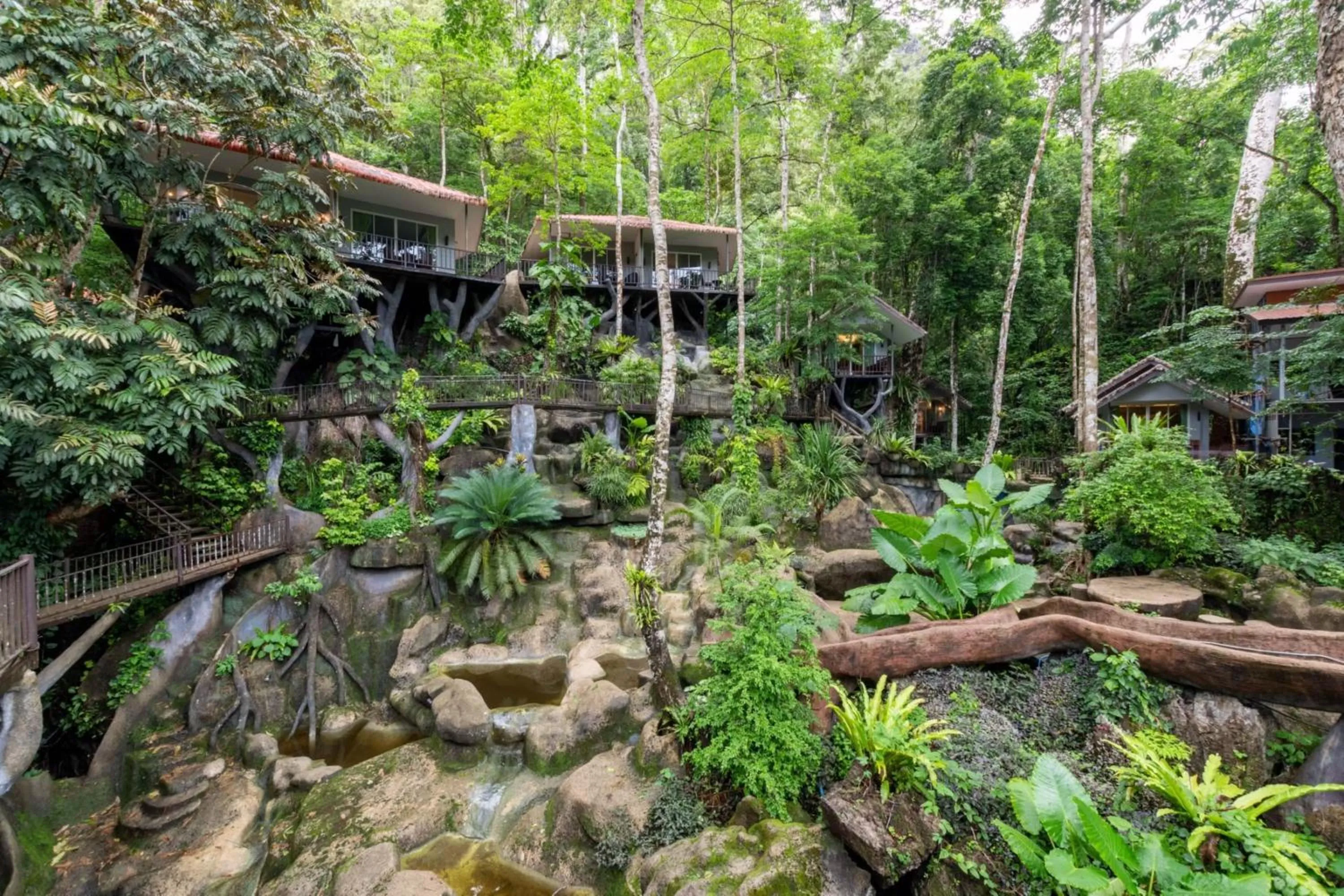 Natural landscape in Rock and Tree House Resort