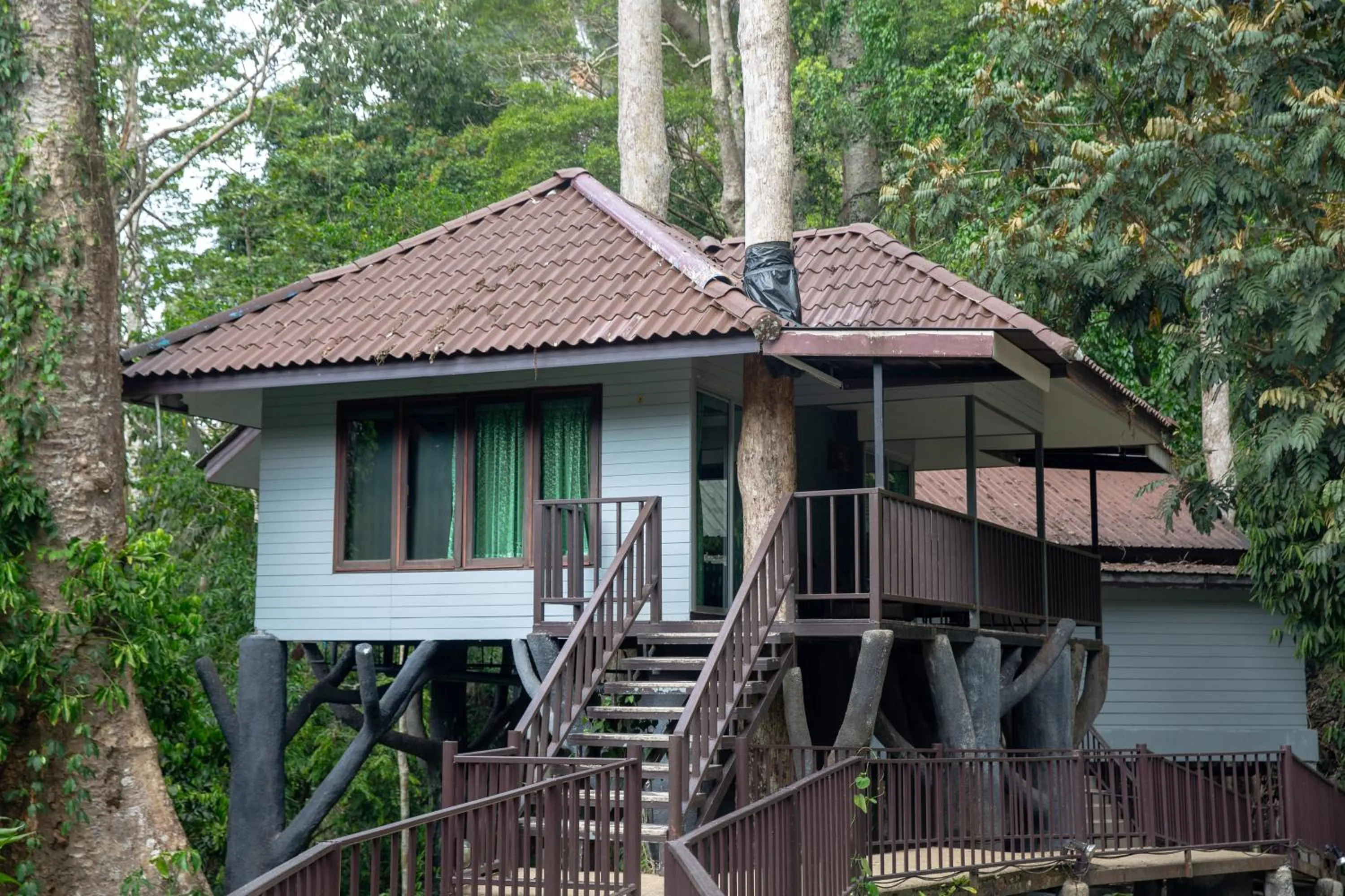 Property building in Rock and Tree House Resort