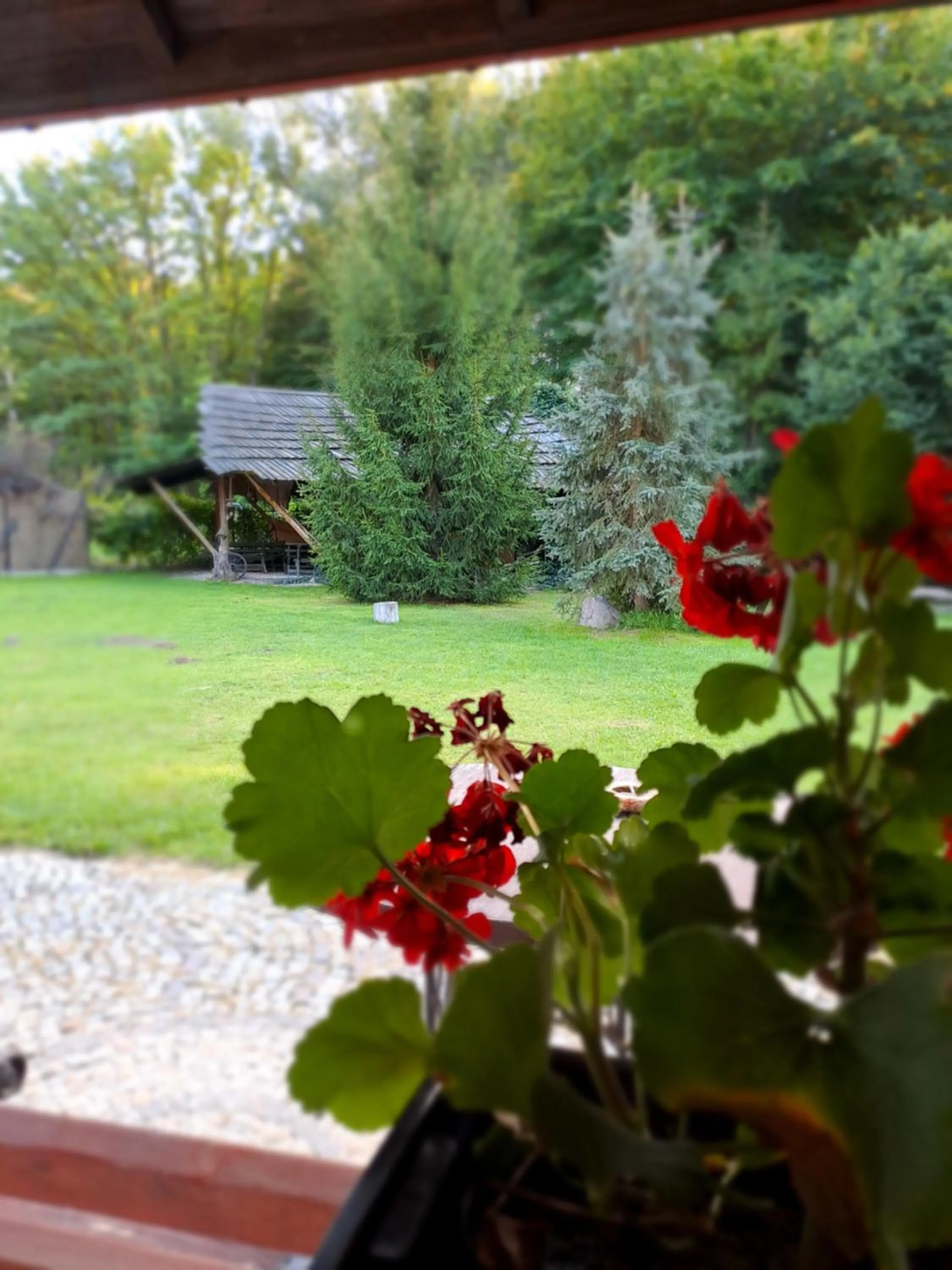View (from property/room) in Siedlisko Lubicz Stara Chata Kazimierz Dolny