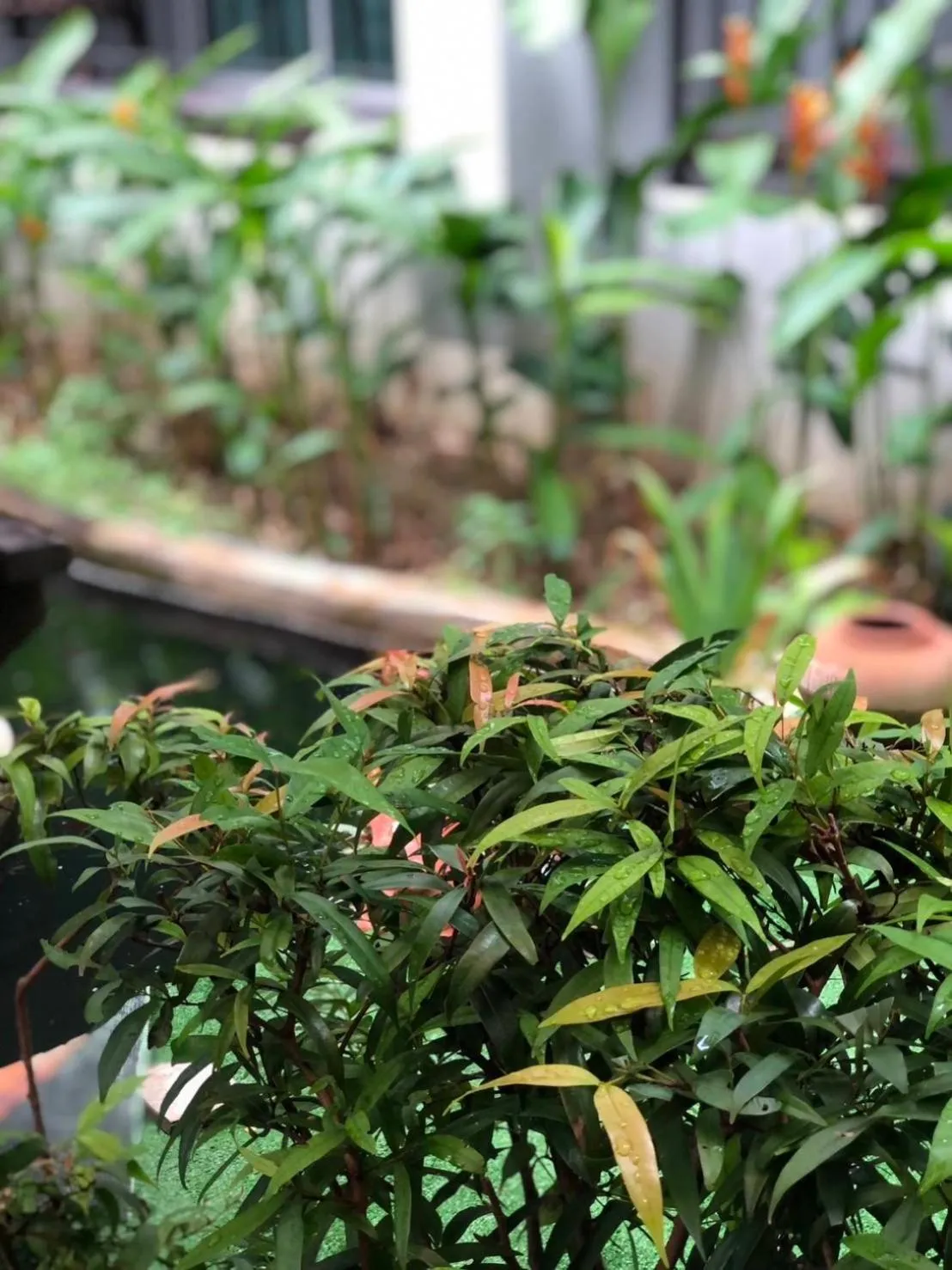 Property building in Khammon Lanna Resort Chiang Mai