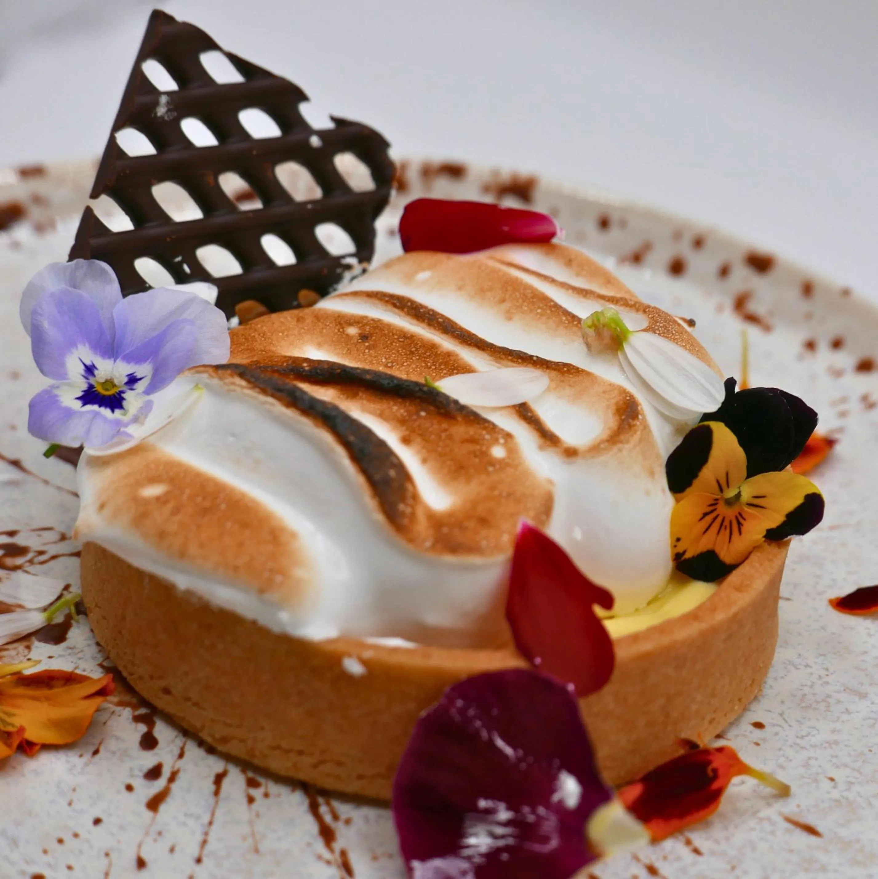 Restaurant/places to eat in Hotel Europa Residence