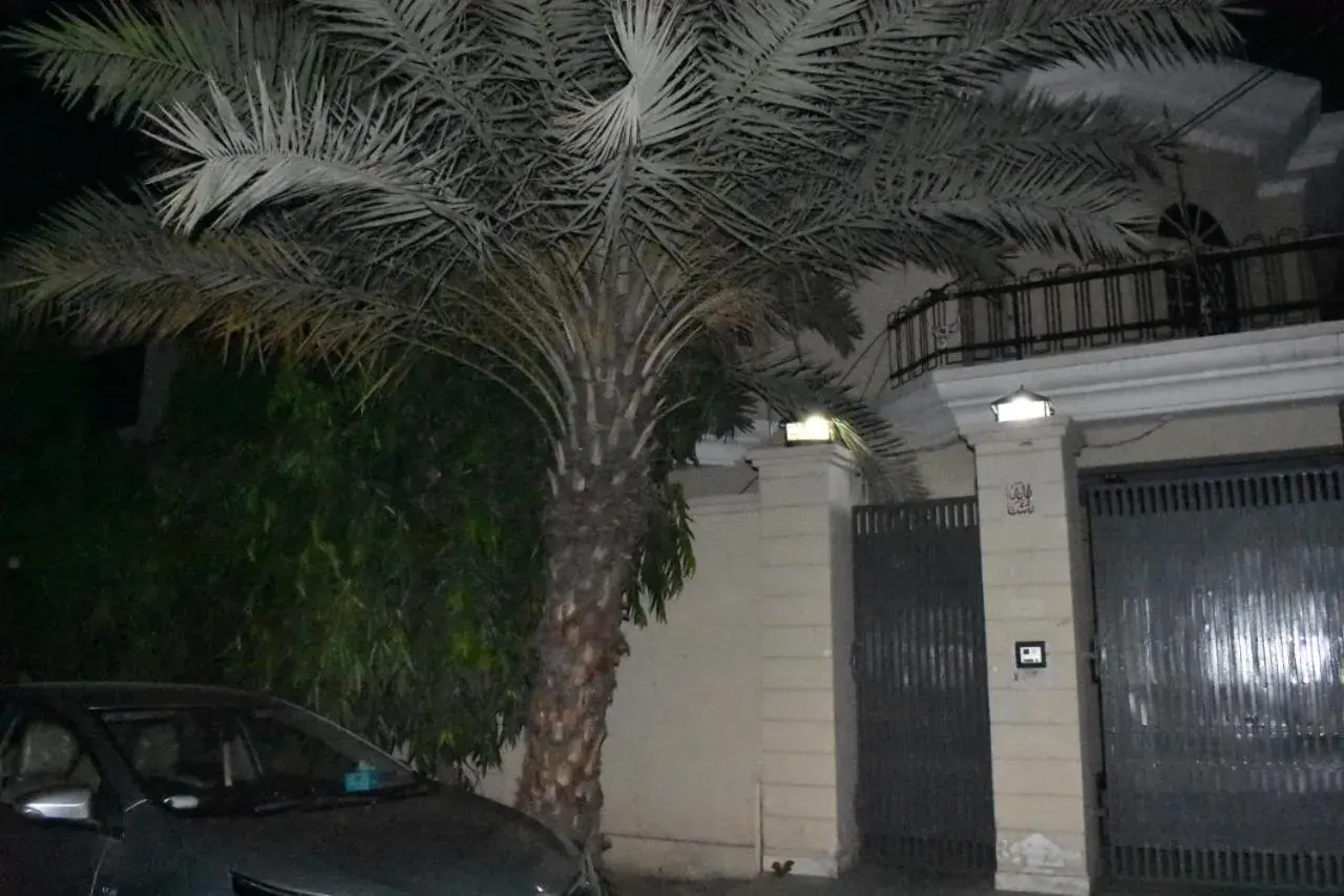 Green View Hotel Green View Hotel