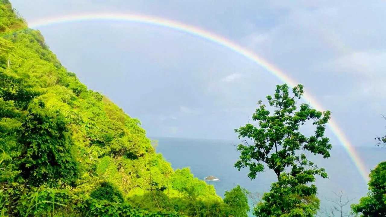 Sea view in Castara Inn