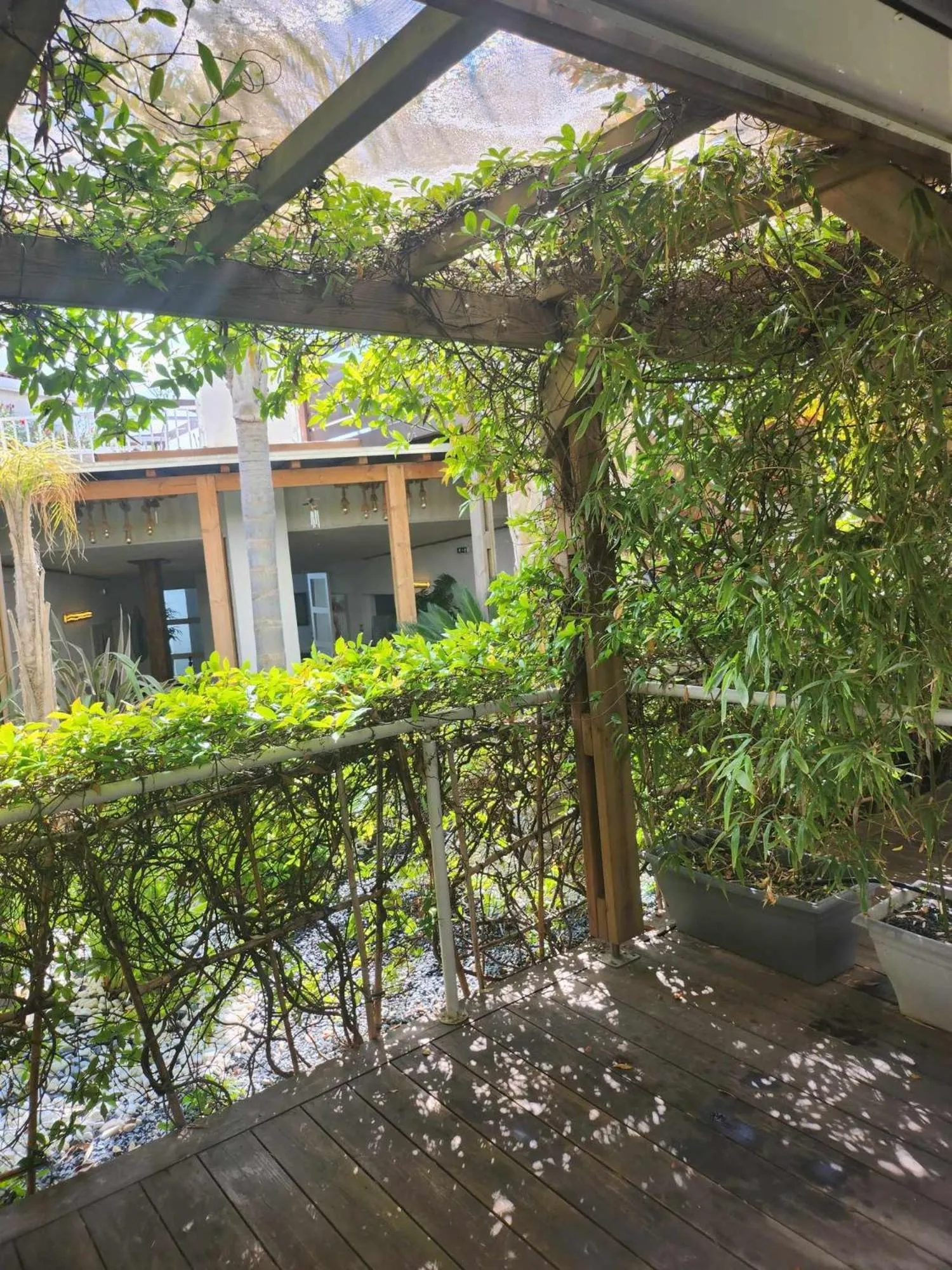 Garden in Bleu Mer Duplex & Suites