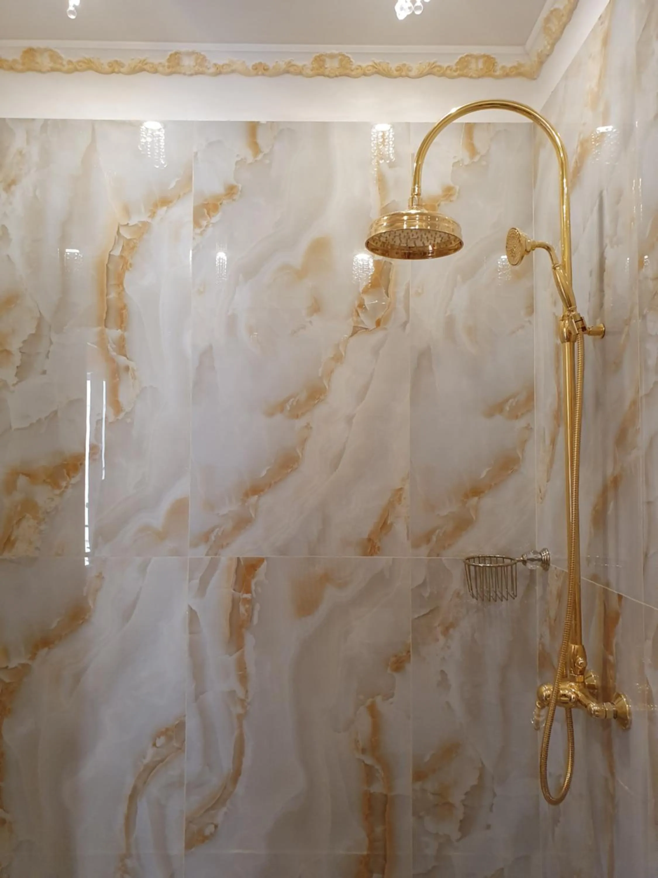 Shower in FD Luxury rooms