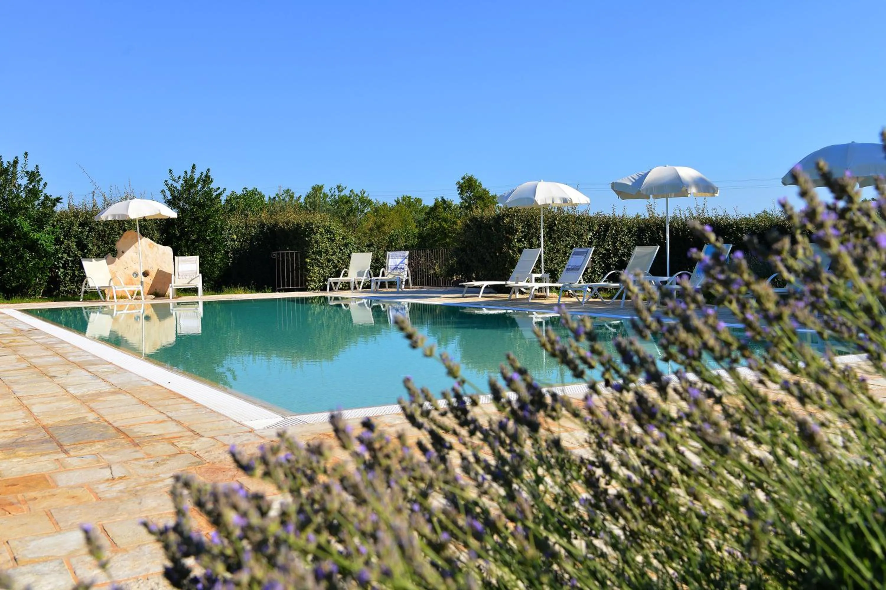 Swimming pool in Masseria Peppeturro