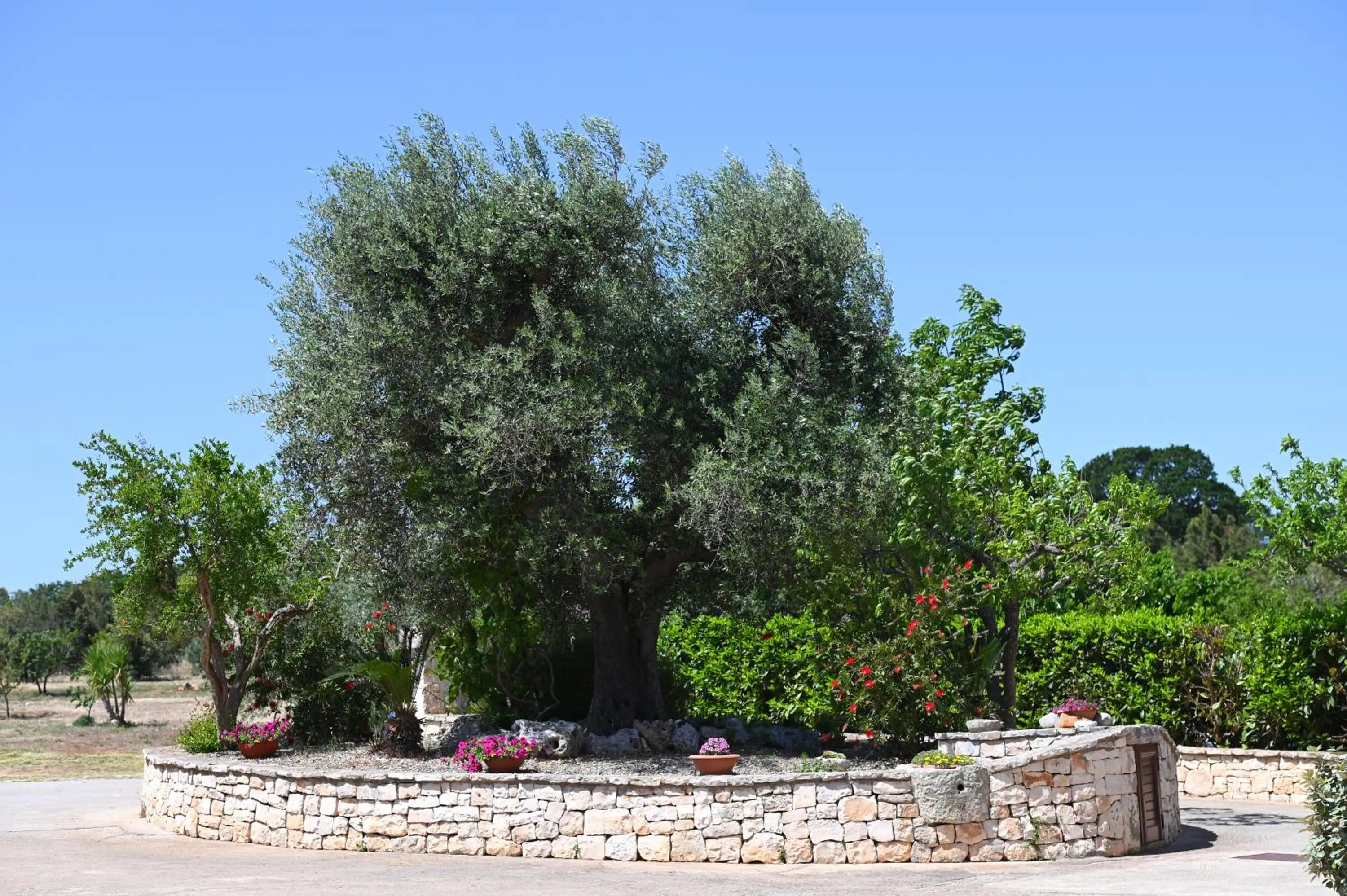 Masseria Peppeturro