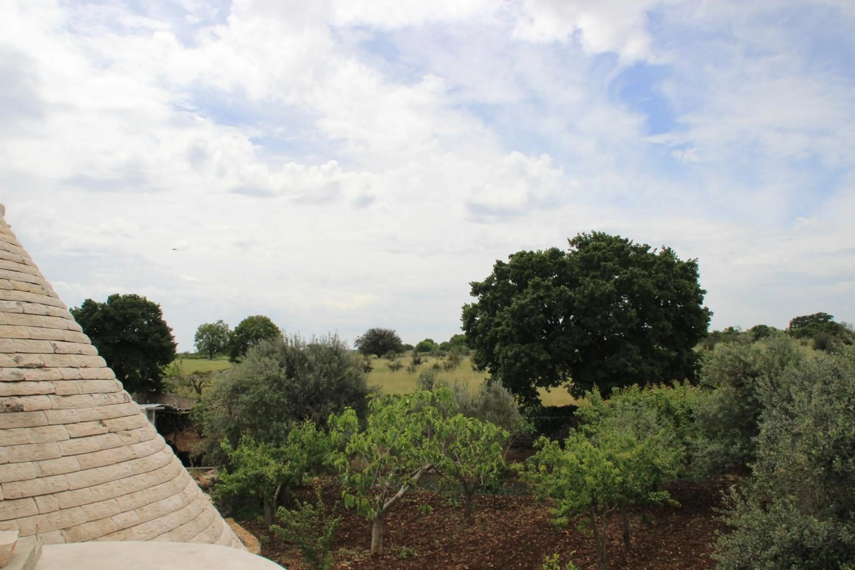 Garden view in Masseria Peppeturro