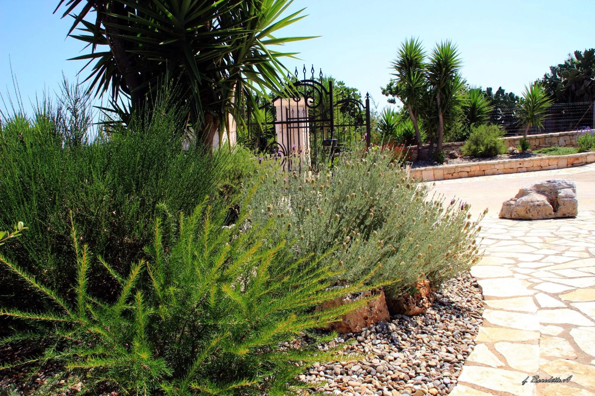 Facade/entrance in Masseria Peppeturro