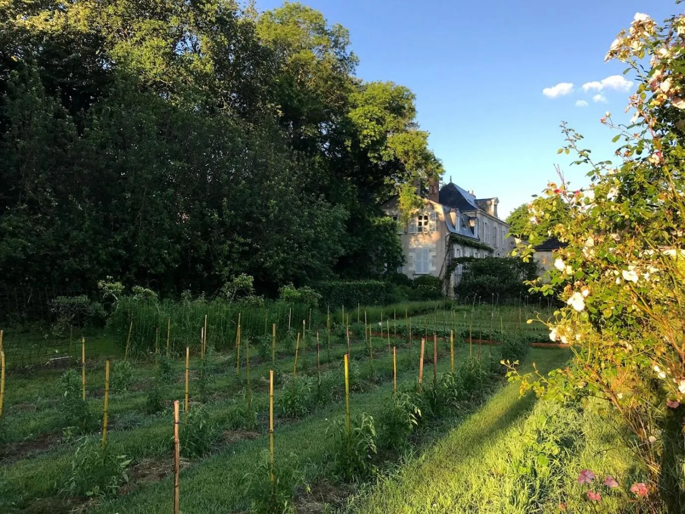 Garden in COLIVAULT