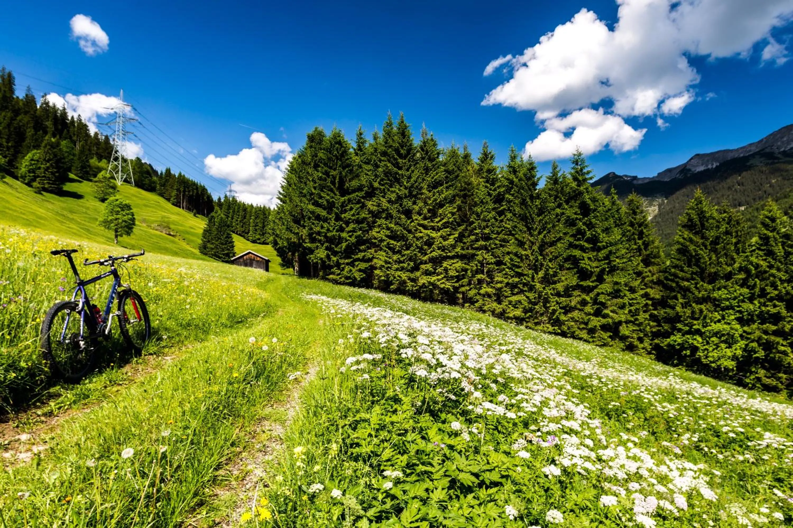 Natural landscape in Appartement Ambrosius