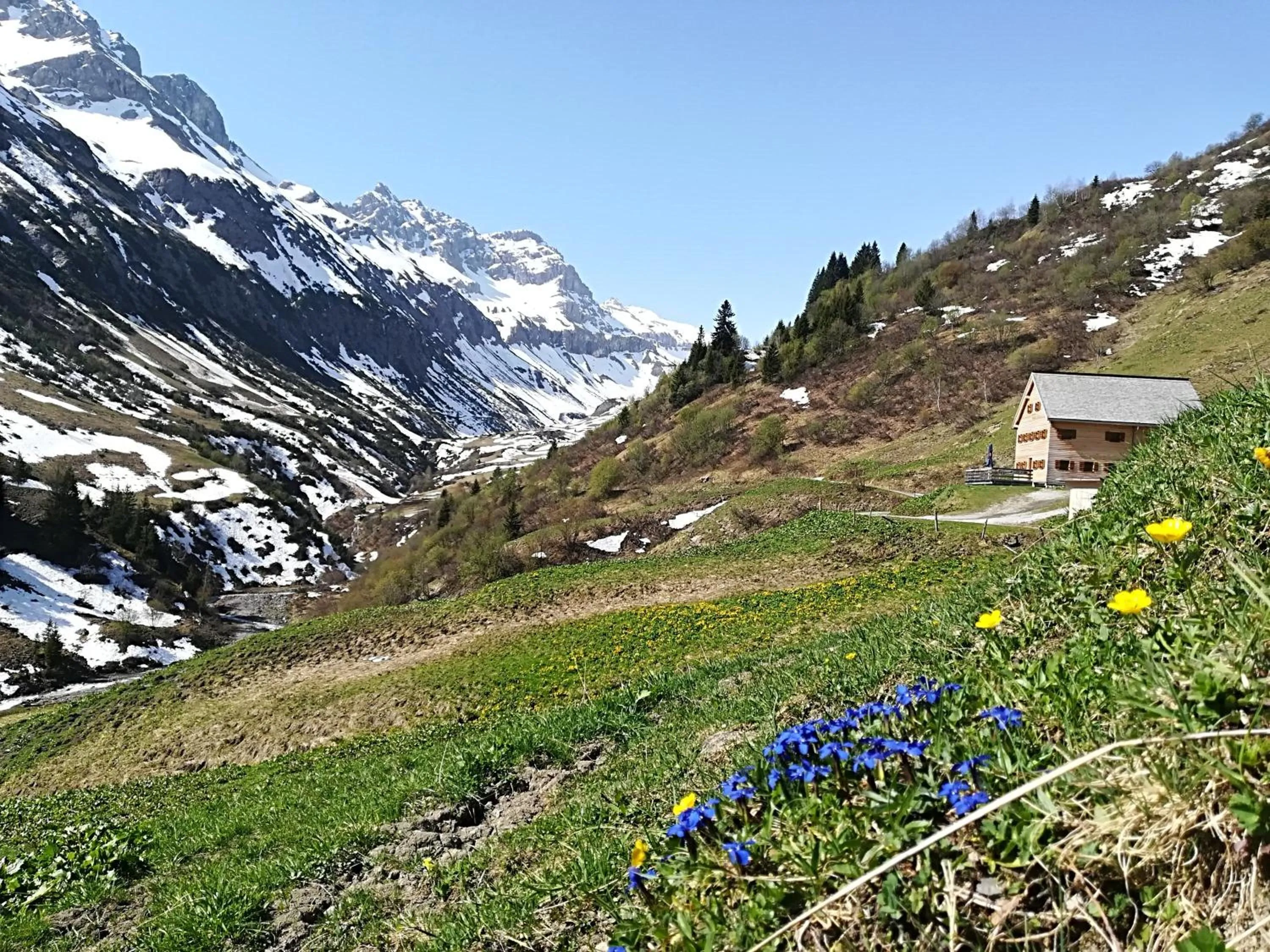 Natural landscape in Appartement Ambrosius