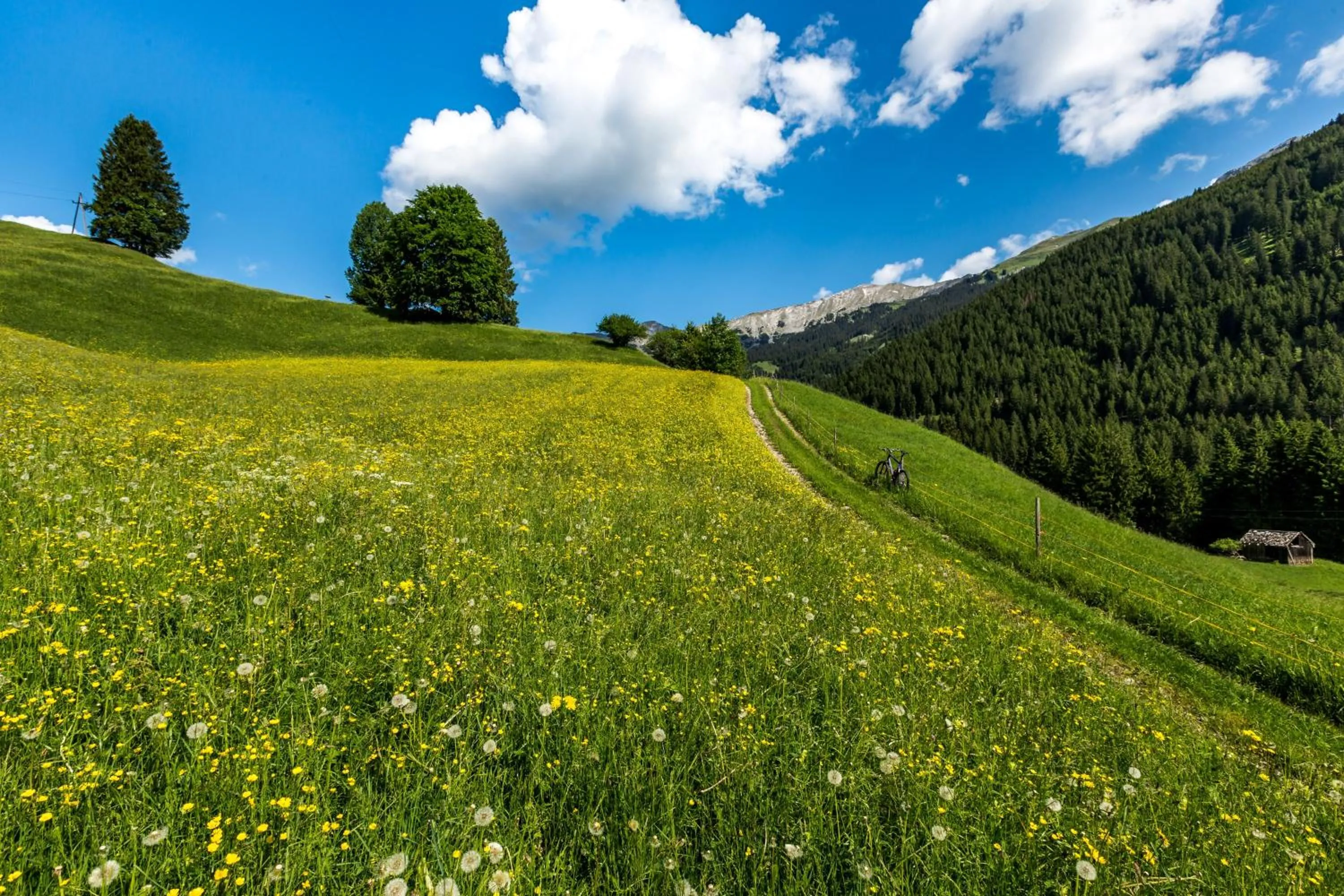 Natural landscape in Appartement Ambrosius