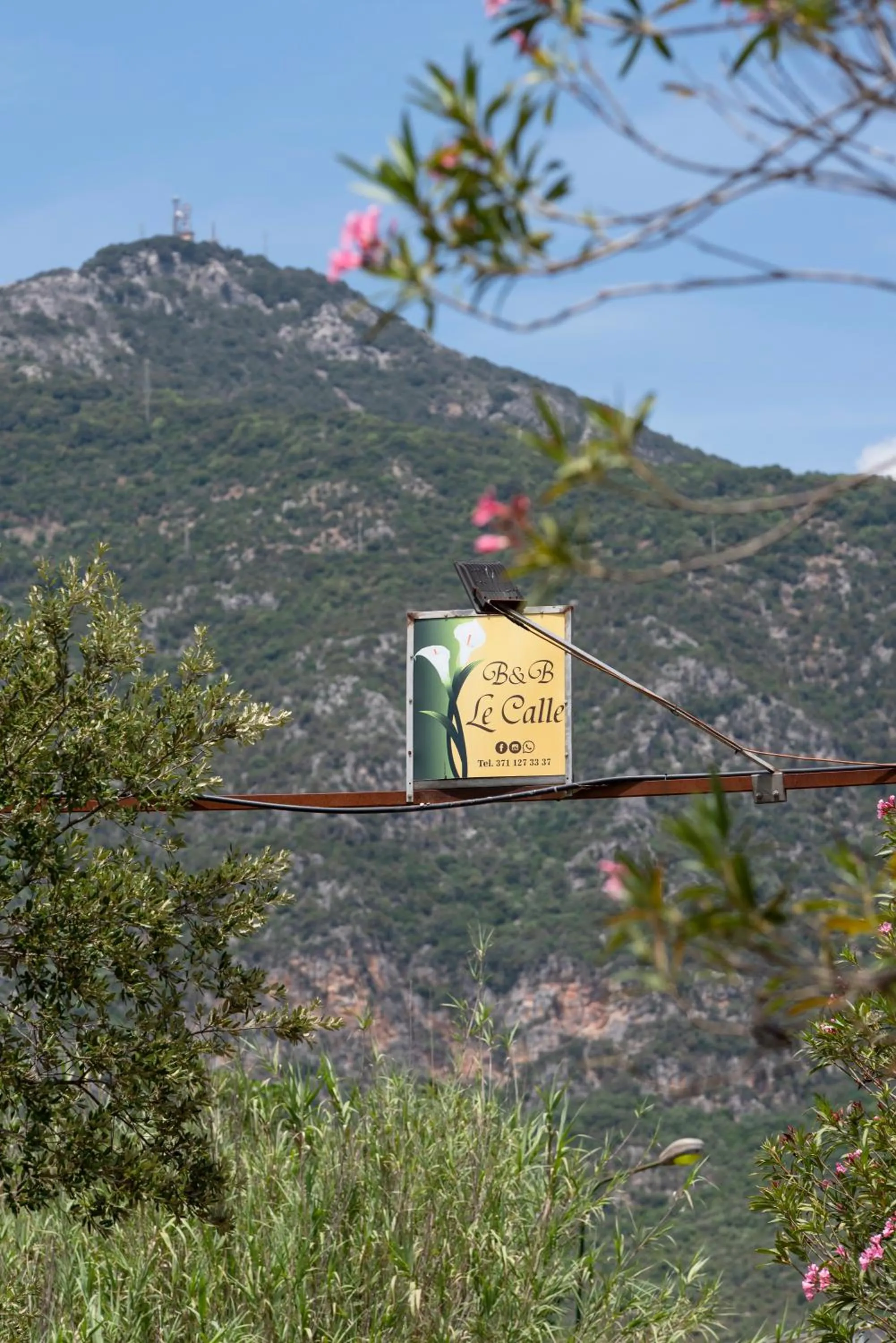 Street view in Le Calle