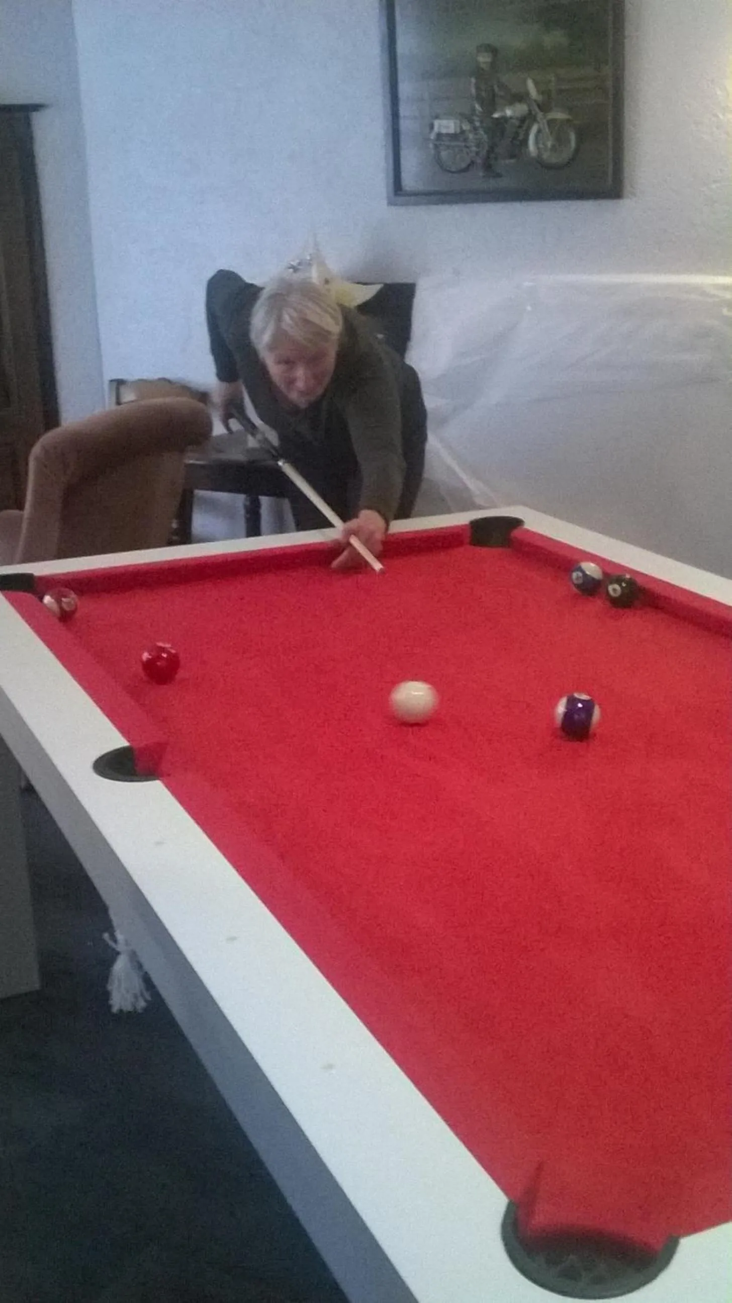 Billiard in Logis Hotel Restaurant des Voyageurs
