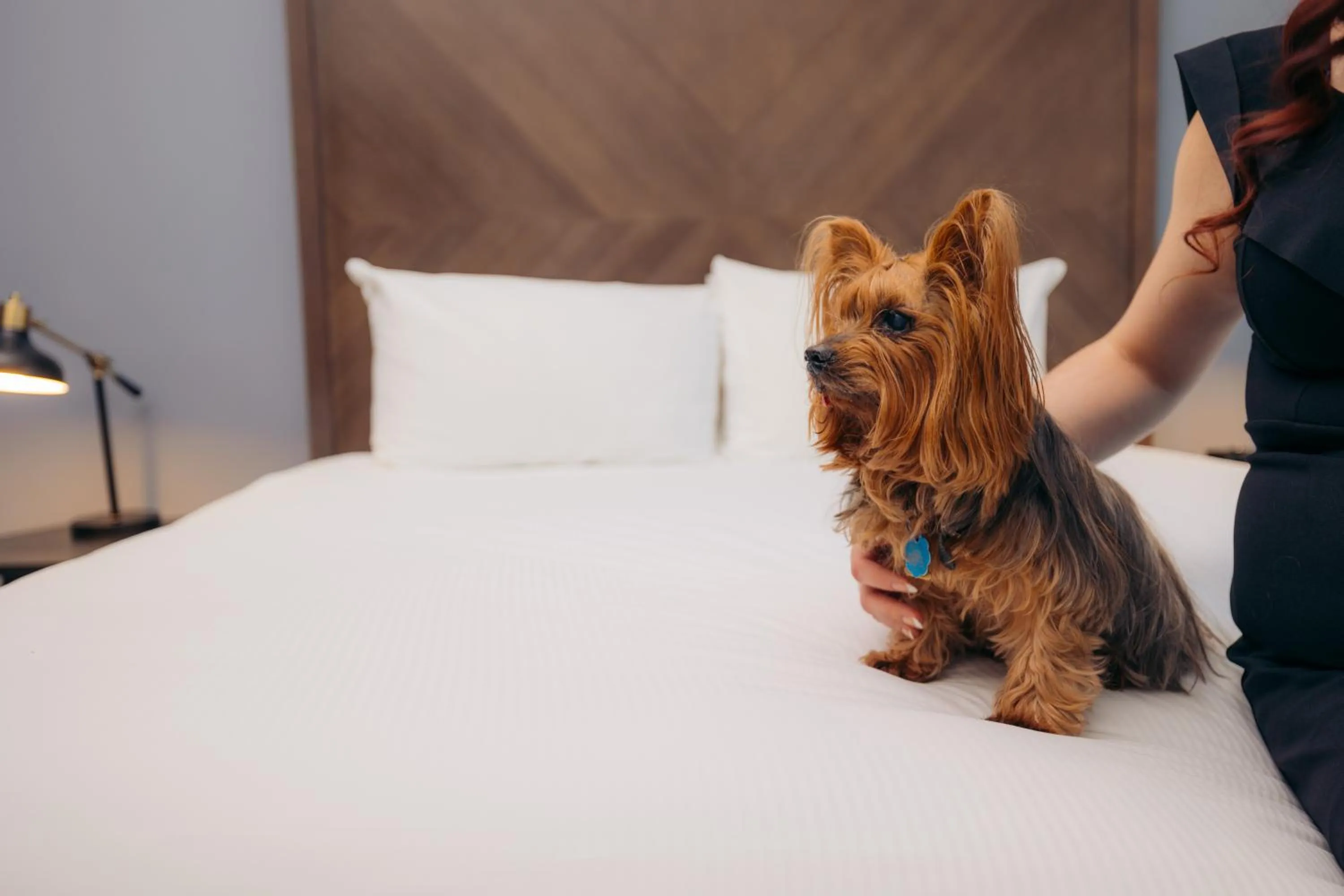 Bed in Hotel Winters