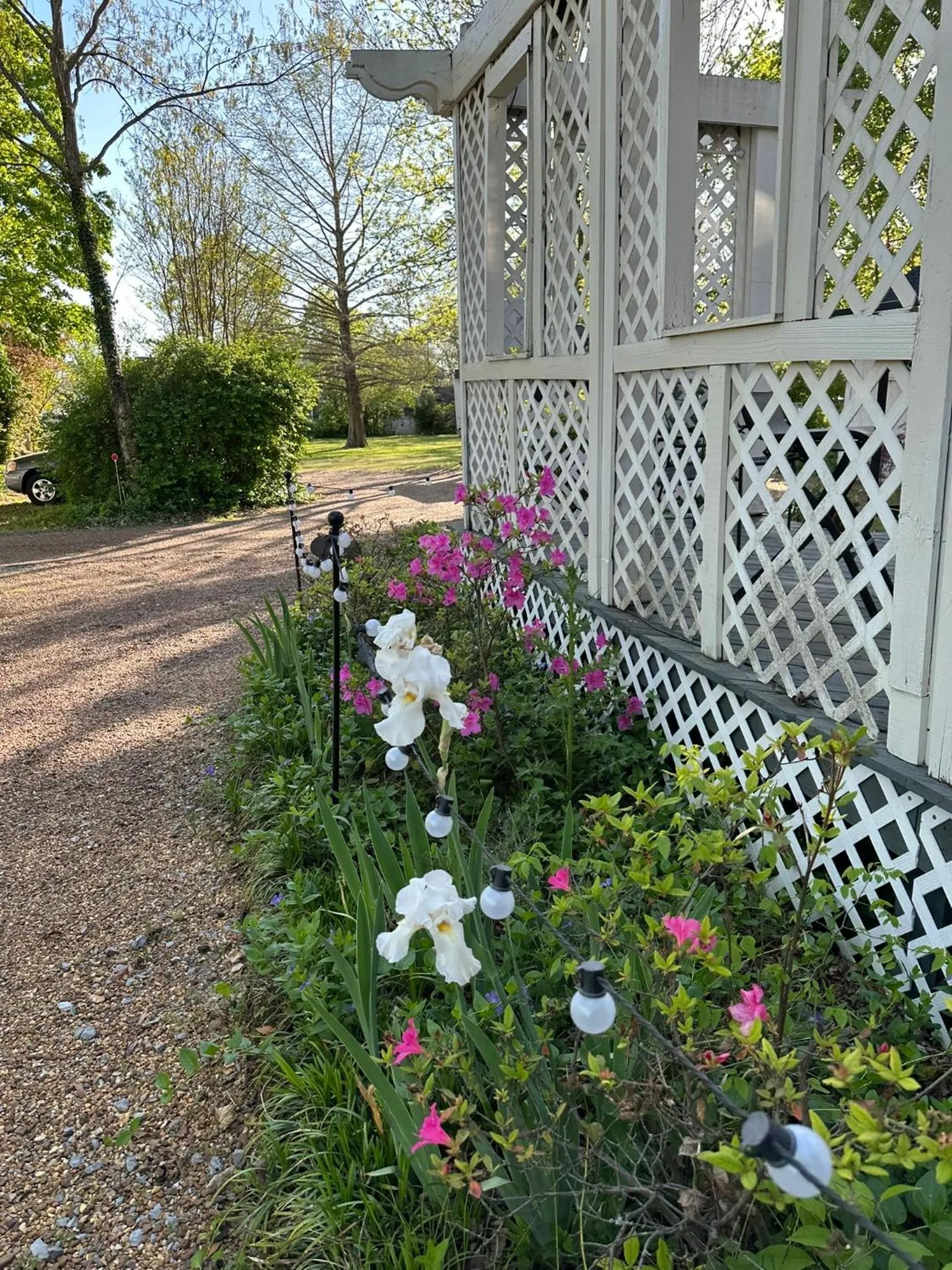 Garden view in Belmont Inn