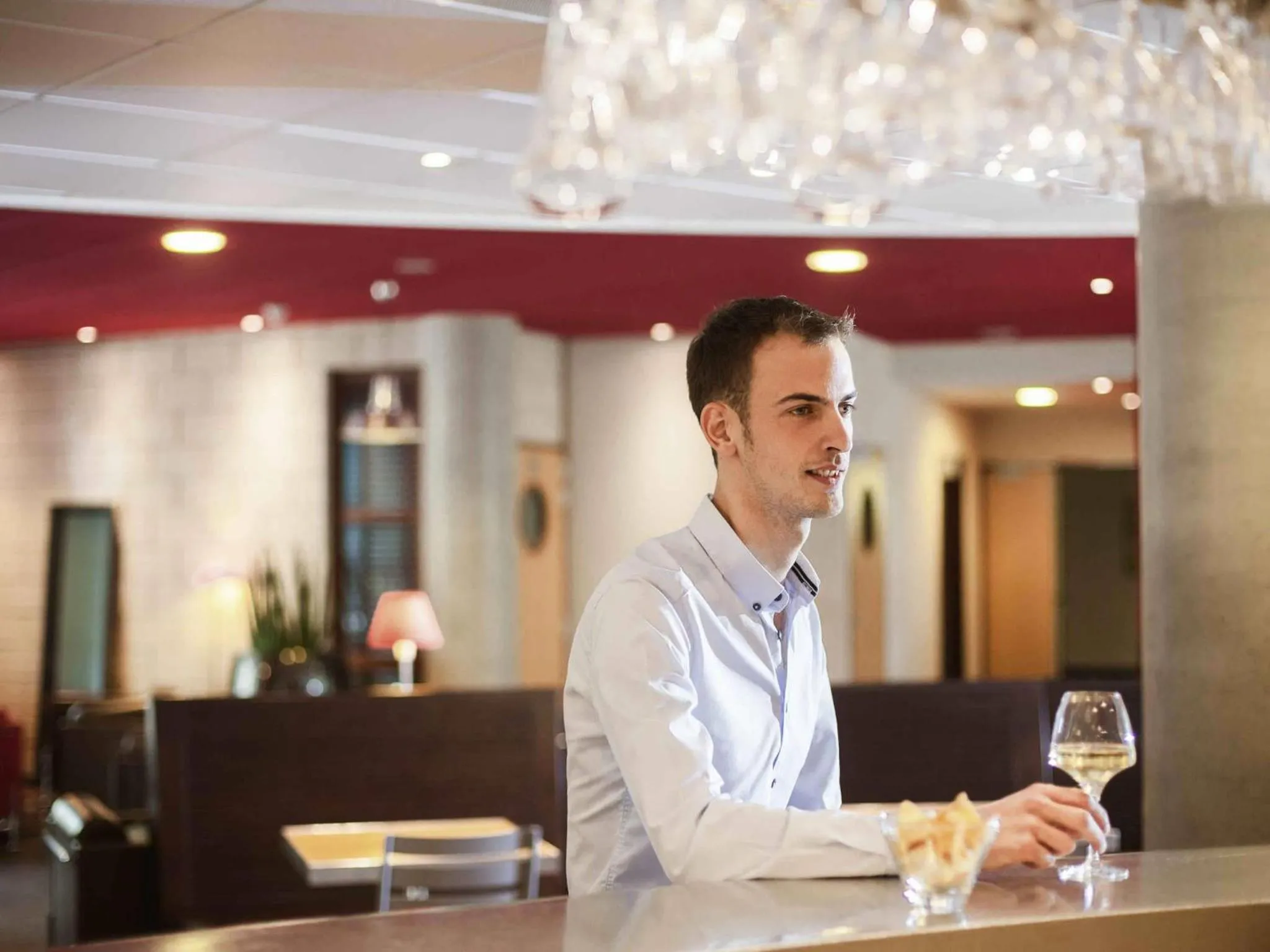 Lounge or bar in Novotel Suites Nancy Centre