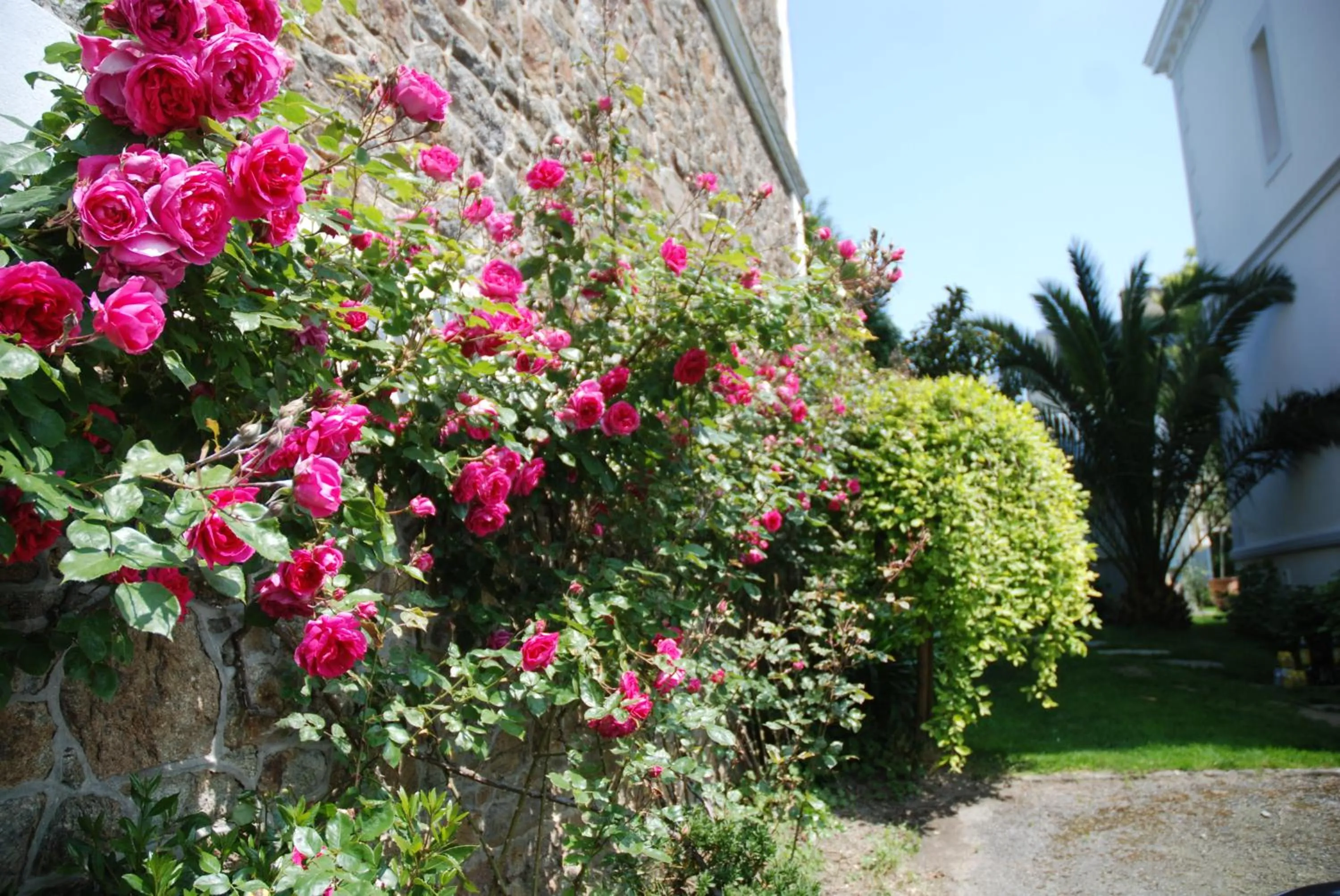 Garden in L'Hôtel Particulier Ascott