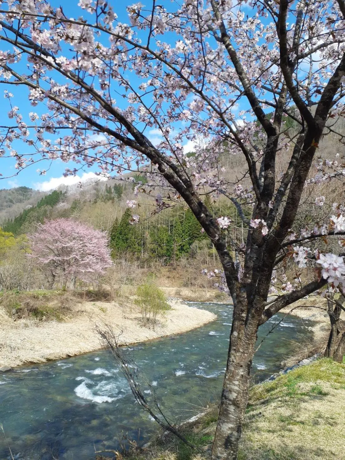HAKUBA IKEDA LIFE KAN APARTMENTS