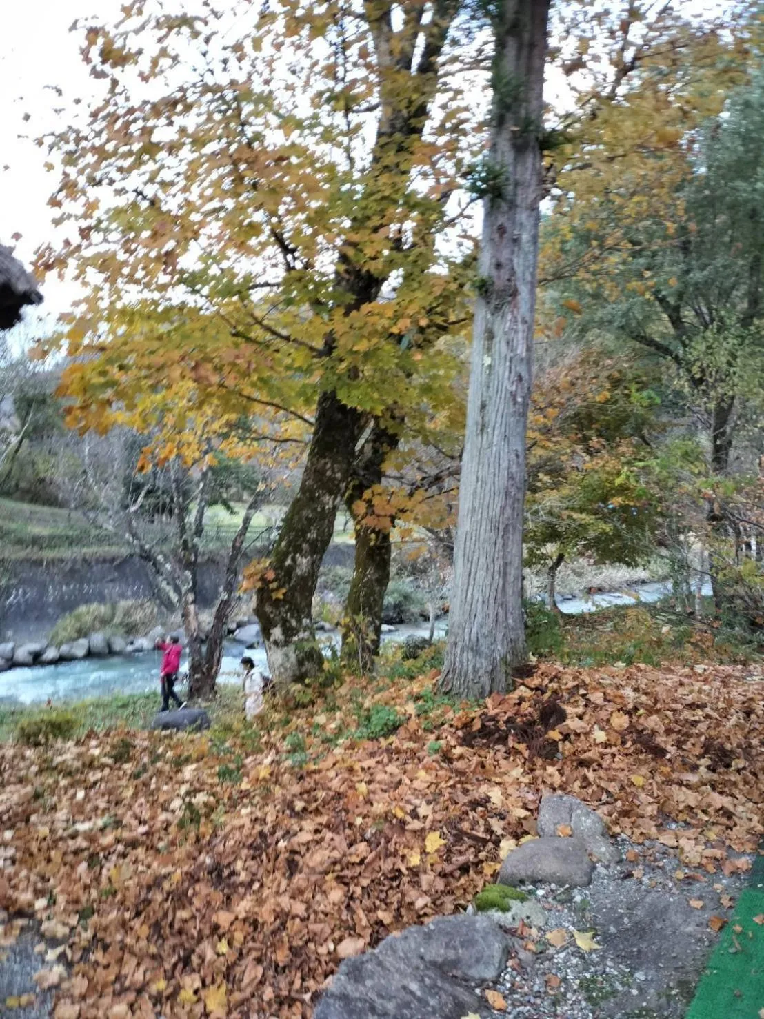 HAKUBA IKEDA LIFE KAN APARTMENTS