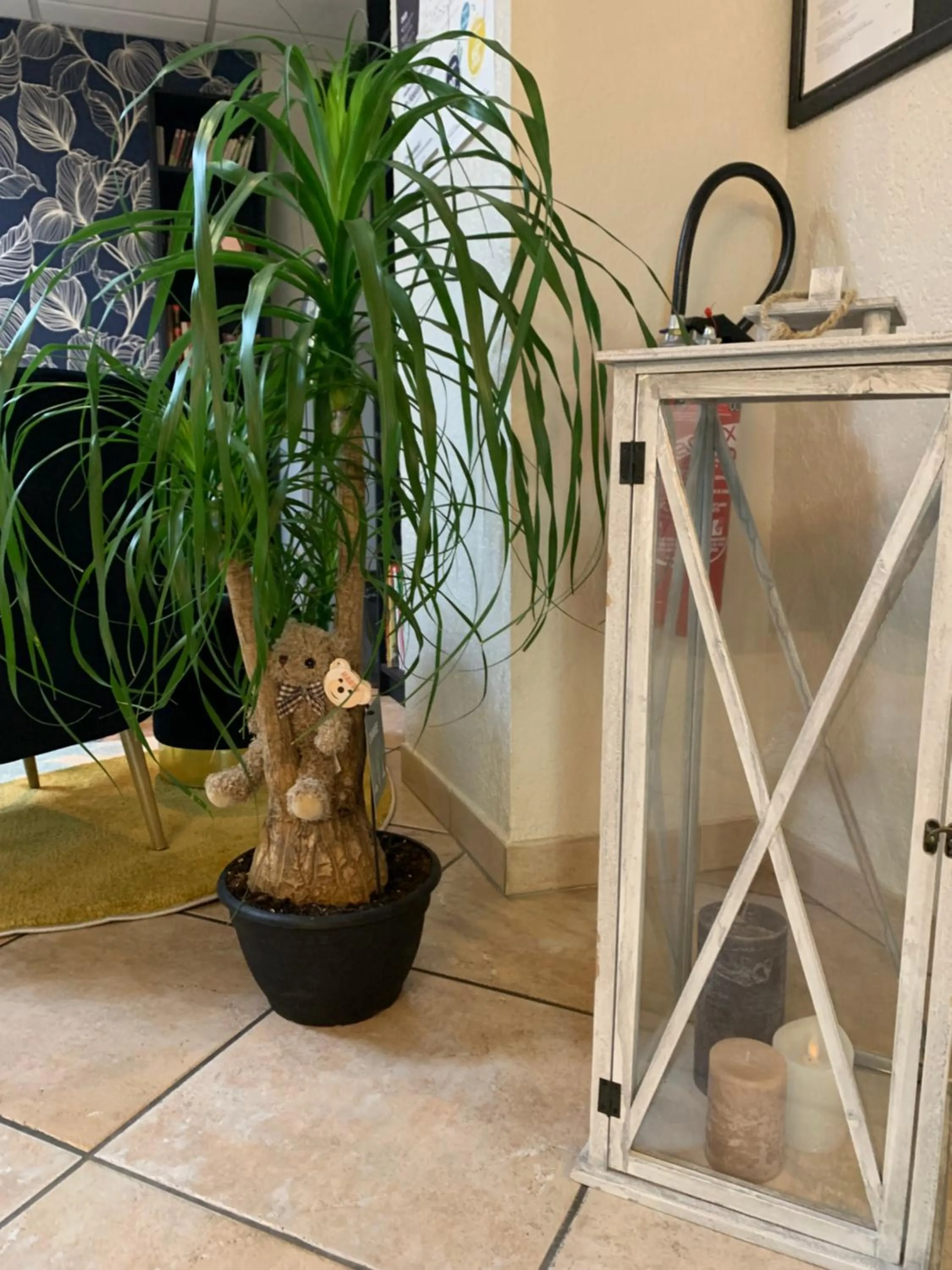 Lobby or reception in Le Regina Hôtel et restaurant Canet-plage