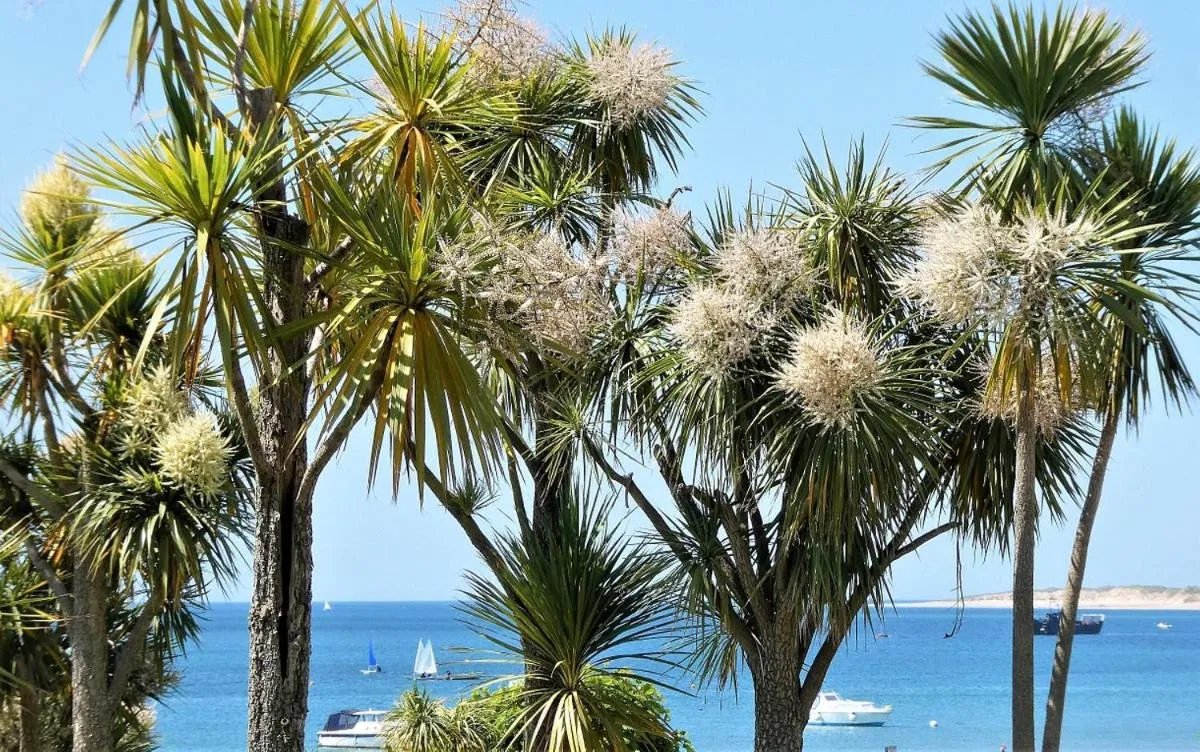 Nearby landmark in The Commodore Hotel