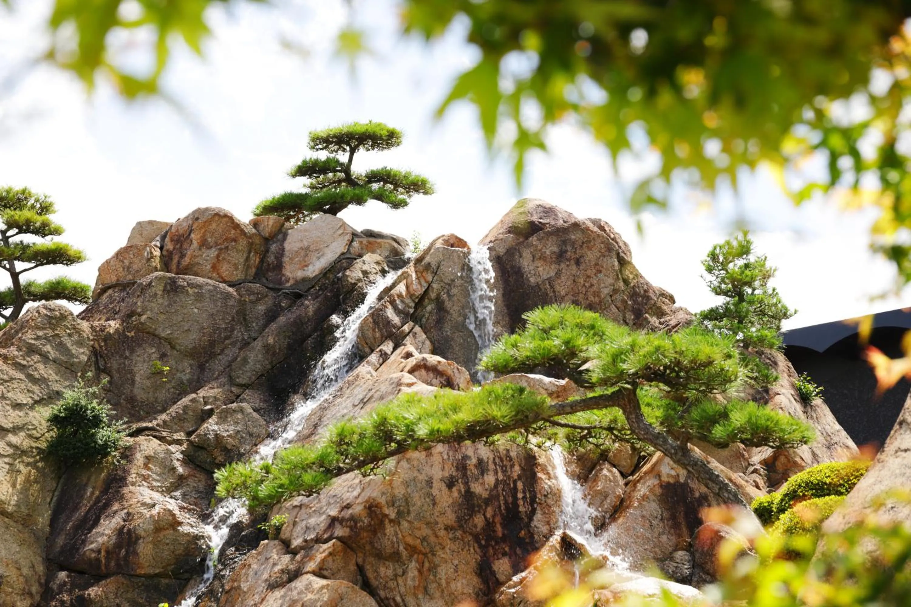 Garden in THE CHELSEA BREATH