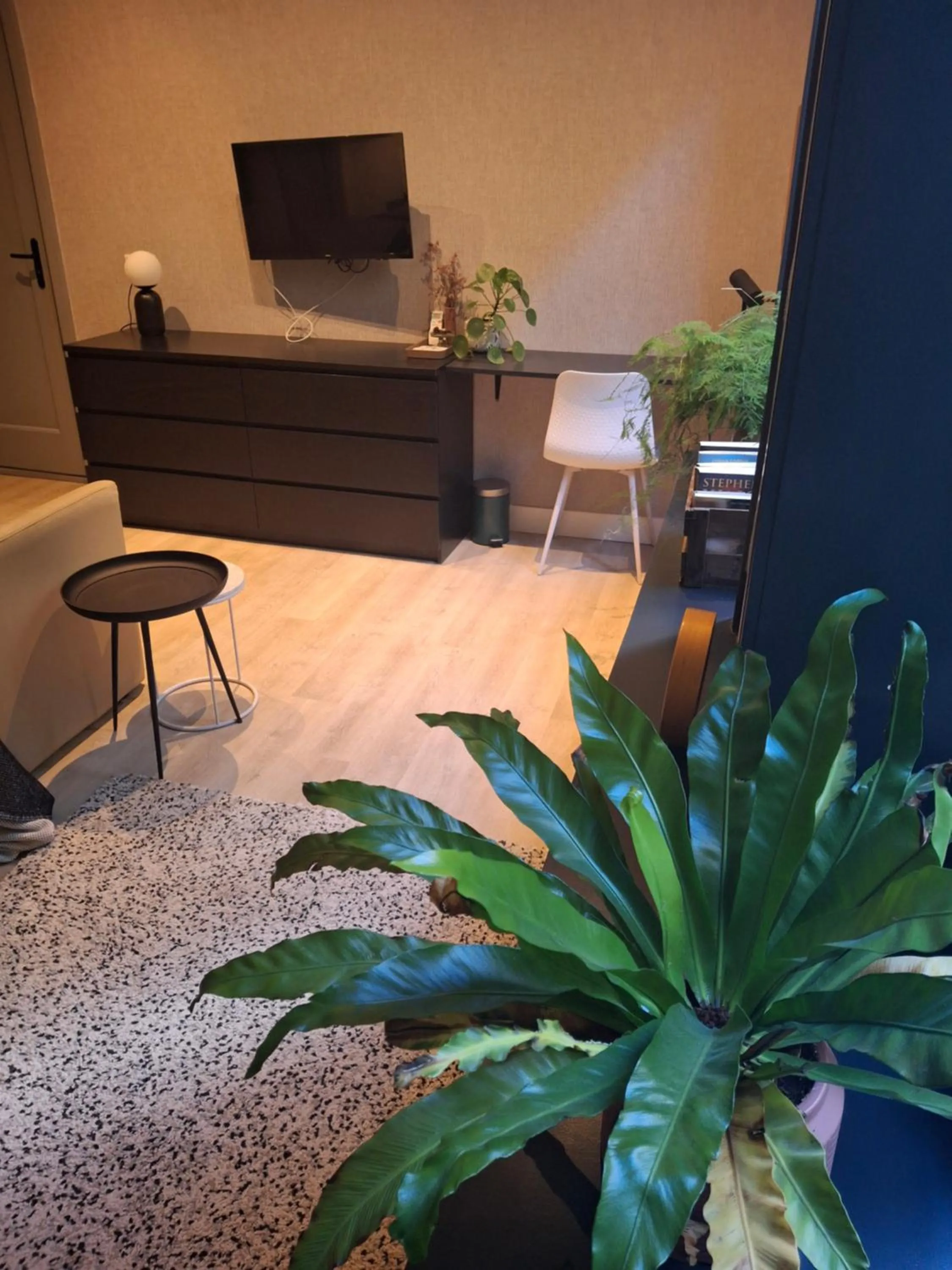 TV and multimedia in Inn the Green