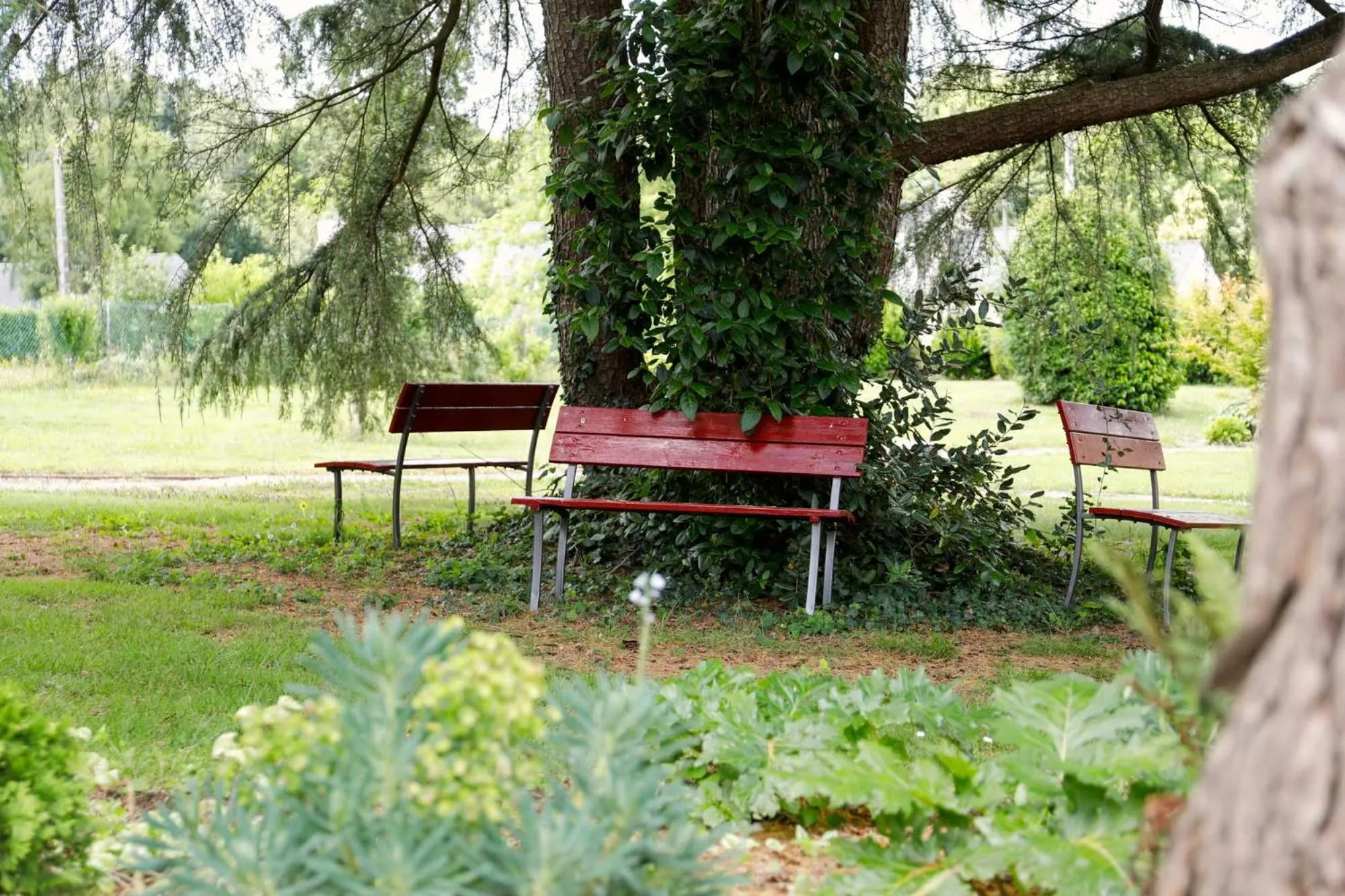 Garden in Hotel Le Branhoc - Brit Hotel Auray